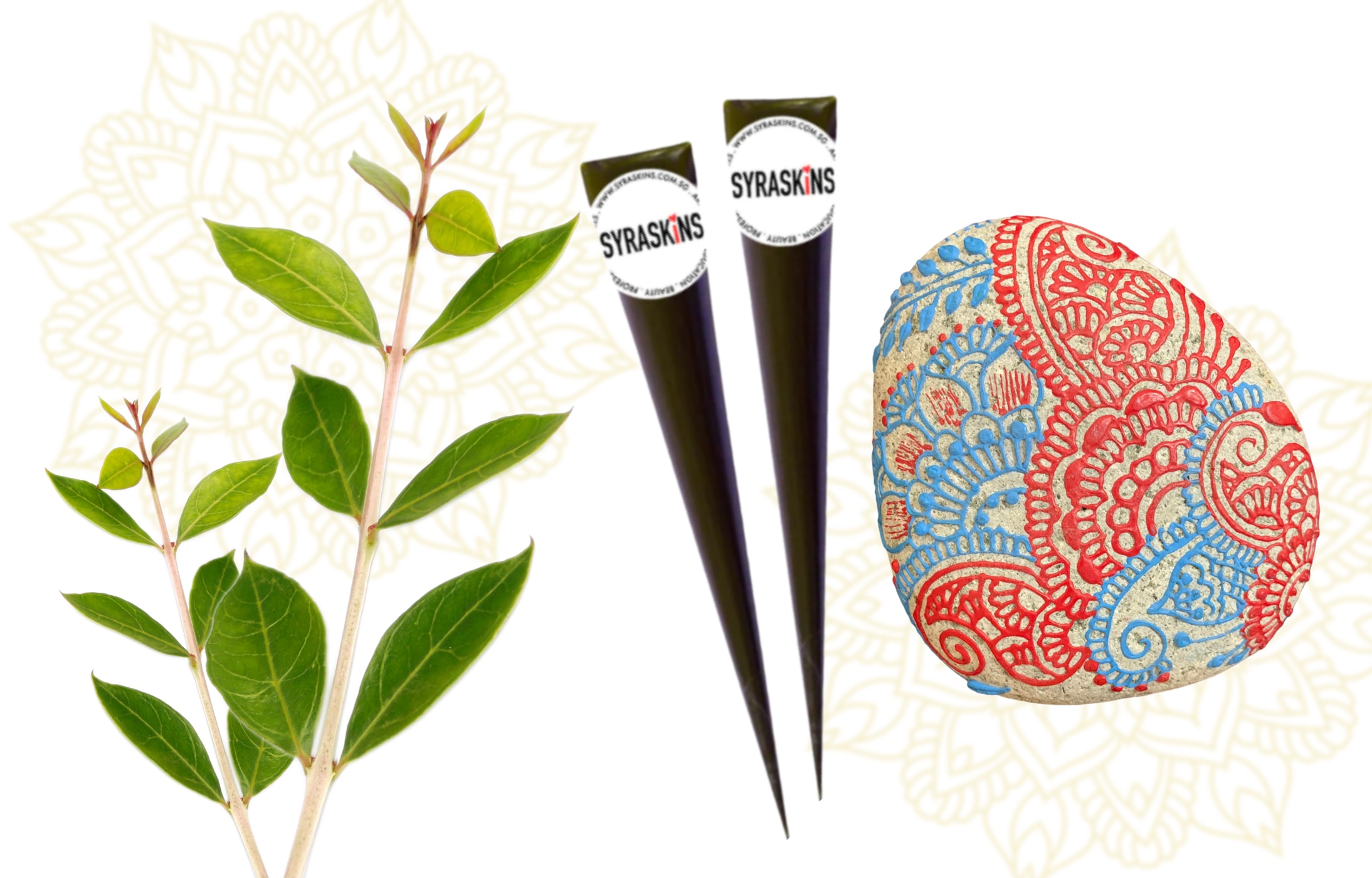 Henna & Beyond Workshop