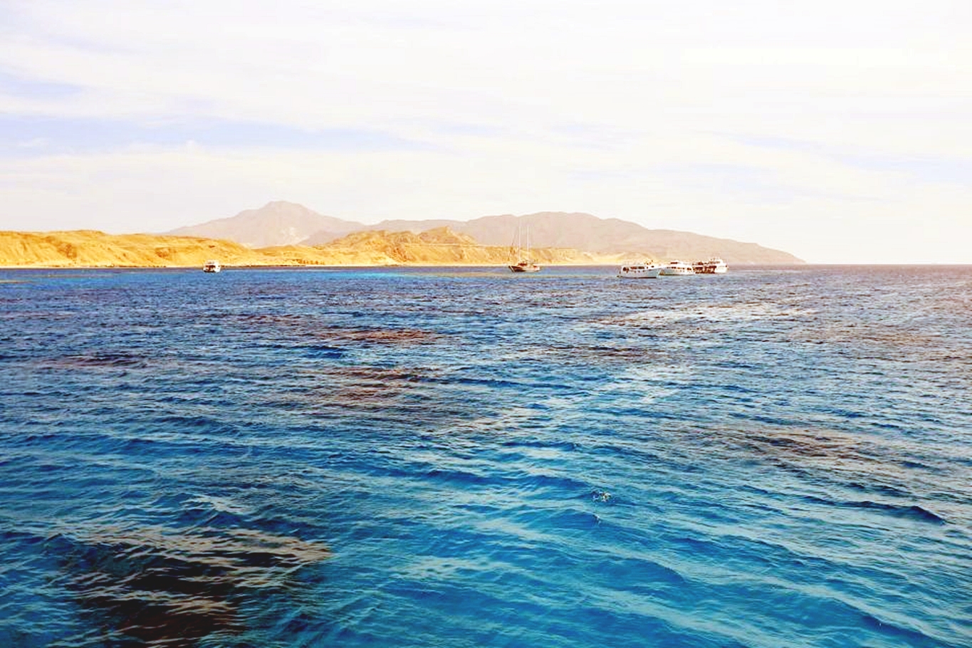 赫爾格達：馬加維什島潛水與浮潛之旅（含午餐）