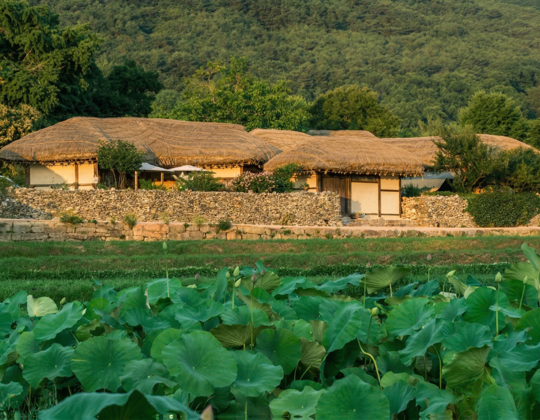 蓮花池畔，童話般的茅草屋景色映入眼簾。在夕陽溫暖的餘暉下，盡情沉浸於朝鮮王朝的氛圍，感受寧靜石徑與古樸小屋交織而成的美景。這是一個充滿魔力的地方，每個角度都值得您細細品味。