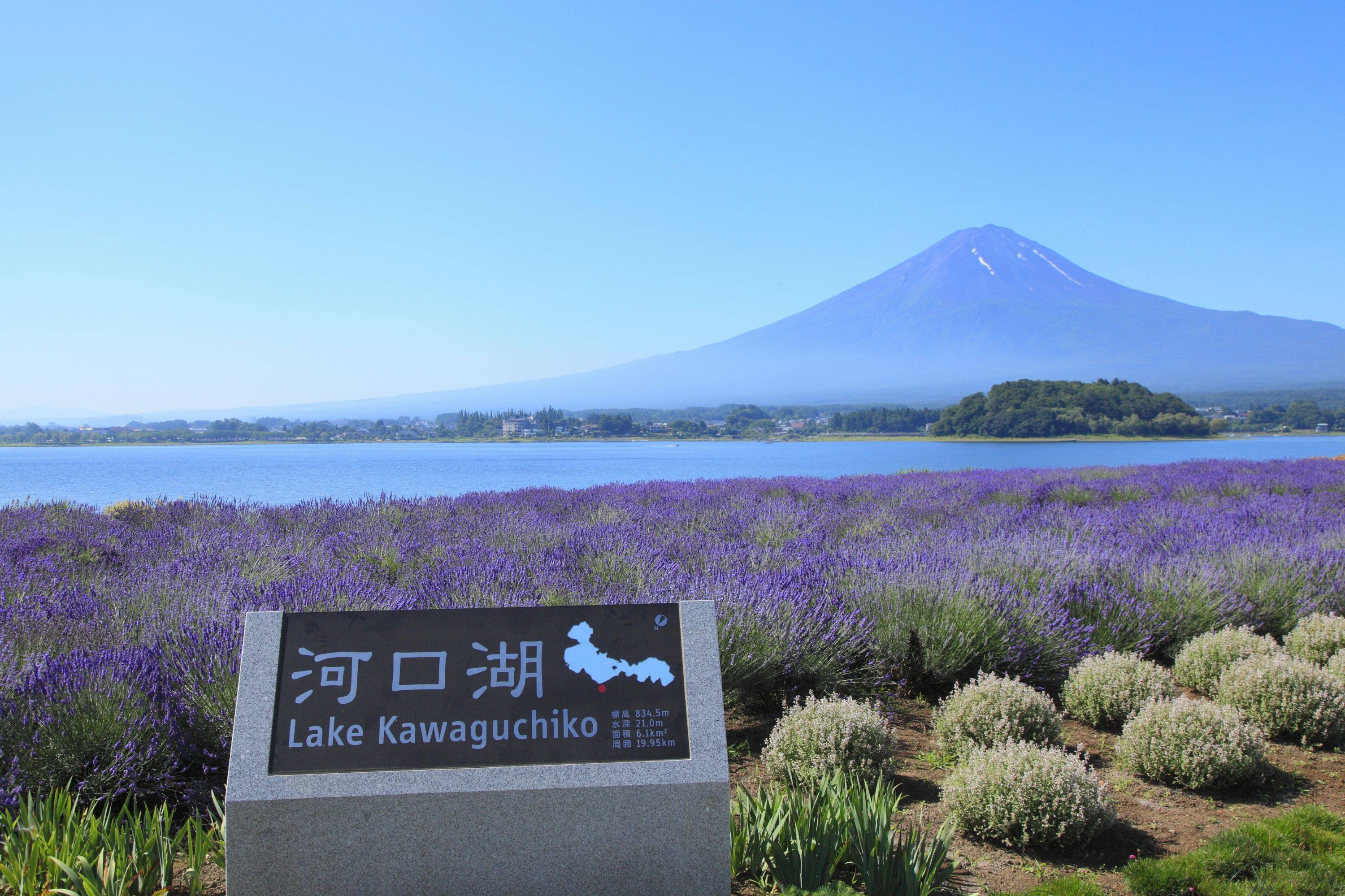 富士山絕色美景一日遊(東京出發)