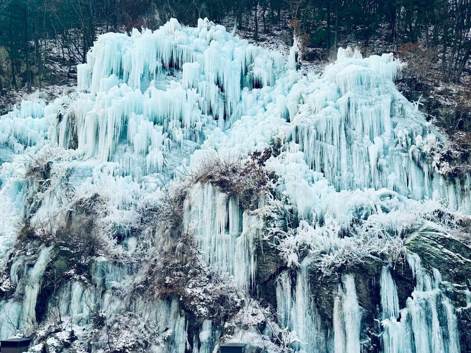 Eobi Ice with Snow Sledding & Strawberry Picking Day Tour from Seoul