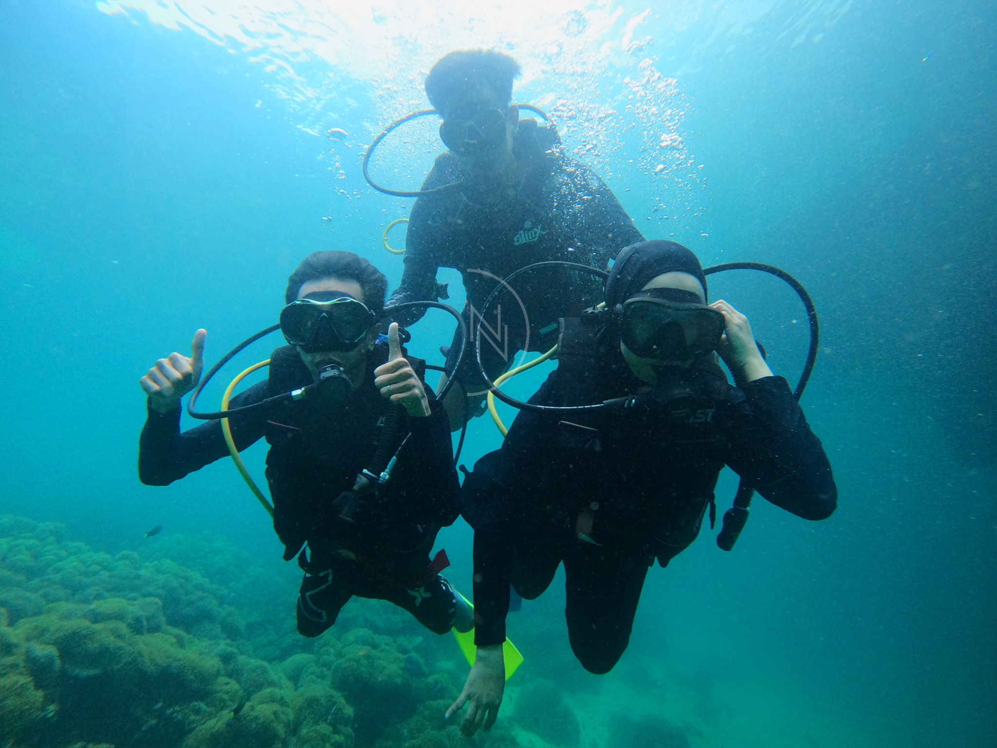 ファンダイビング体験（パヤ島・マリンパーク / PADI Dive Center提供）