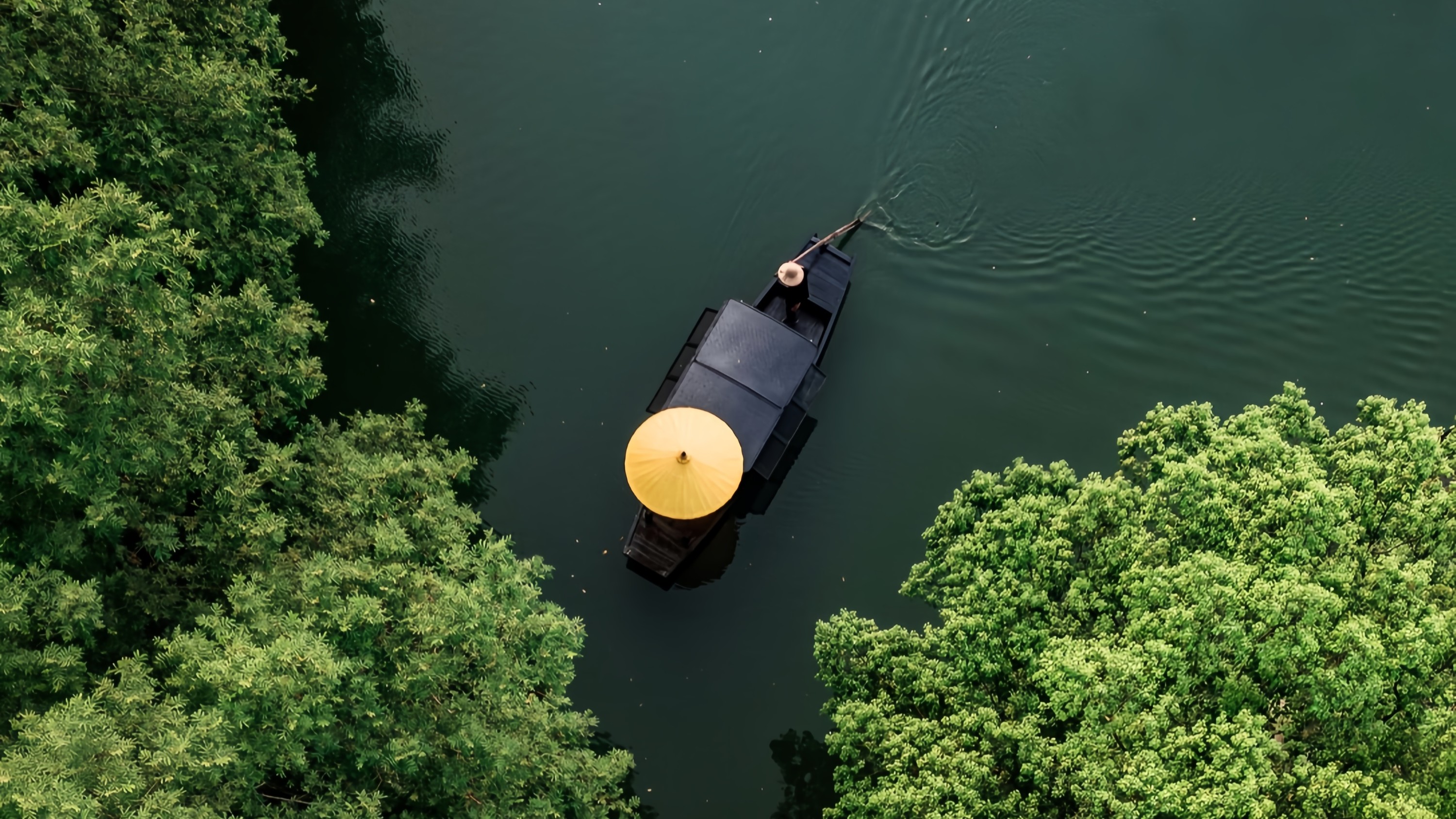 Hangzhou Xixi Wetland + Longjing Village Tea Picking Group Day Tour