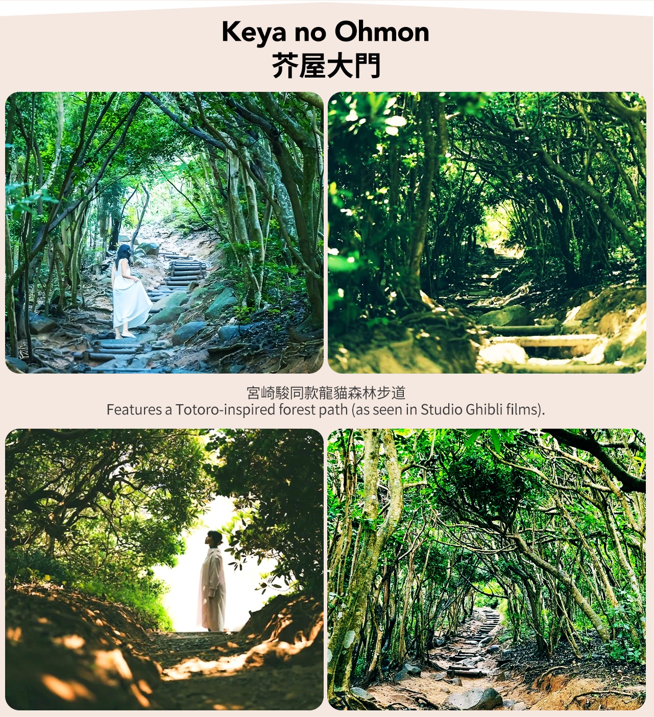 九州: 白絲瀑布&雷山千如寺&一蘭之森&芥屋大門公園一日遊（福岡出發）