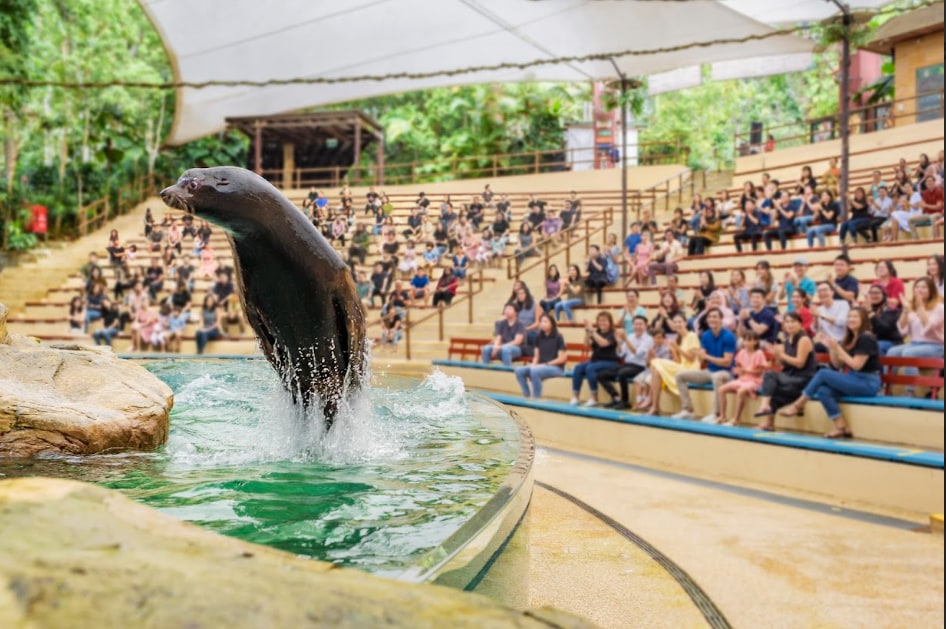 新加坡動物園門票（含遊園車）