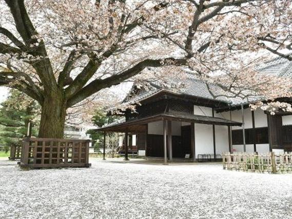 Kodokan Admission Ticket (Ibaraki)