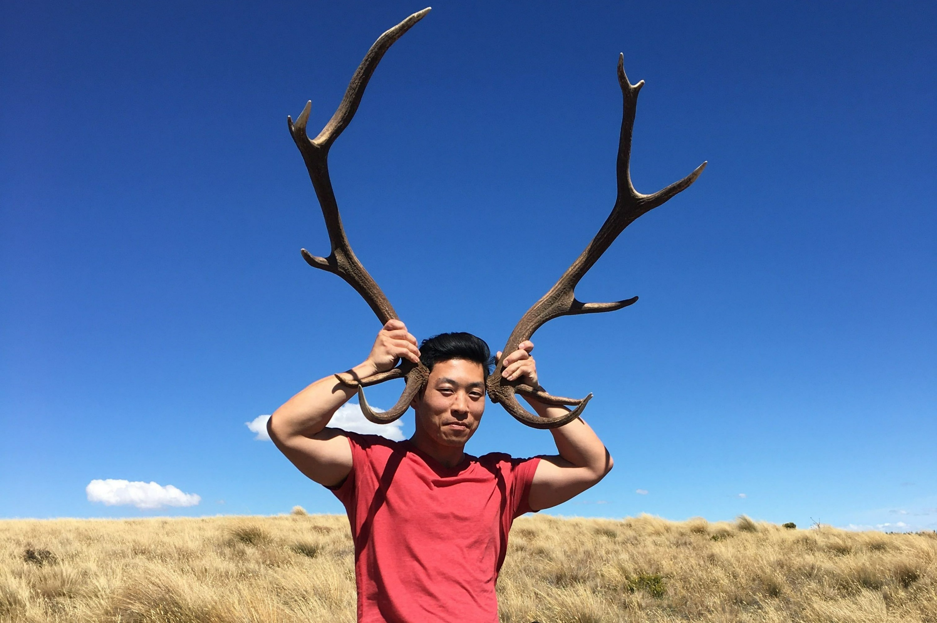 Lake Tekapo Farm Tour