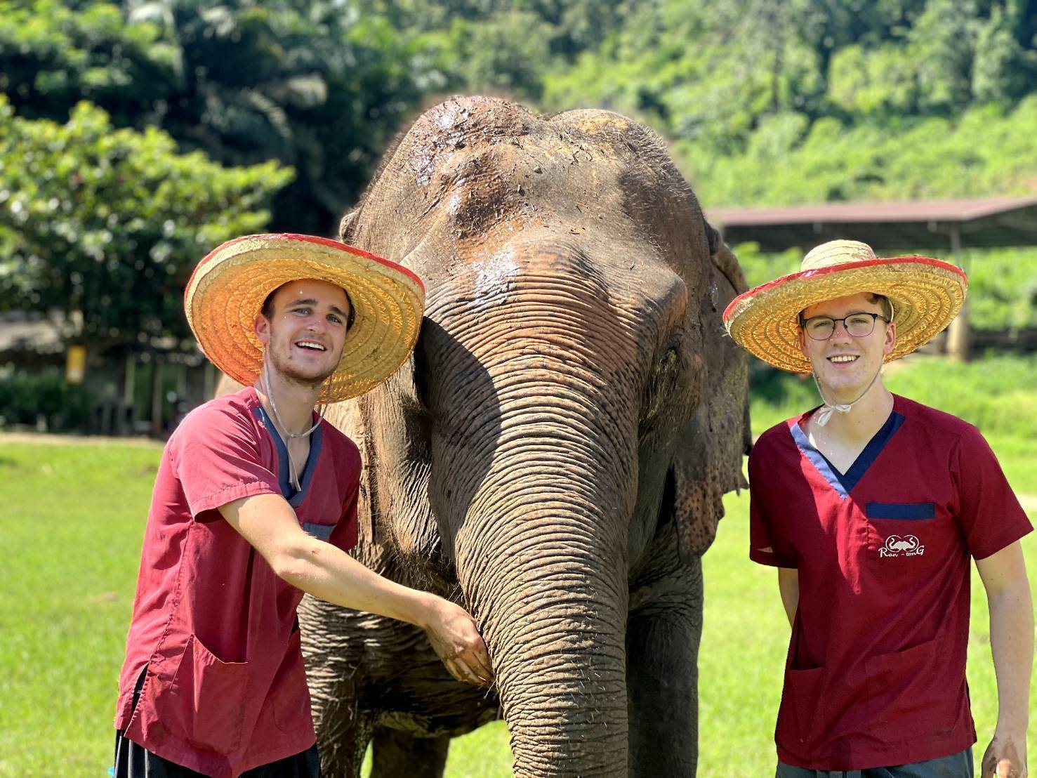 Ran Tong Elephant Experience in Chiang Mai