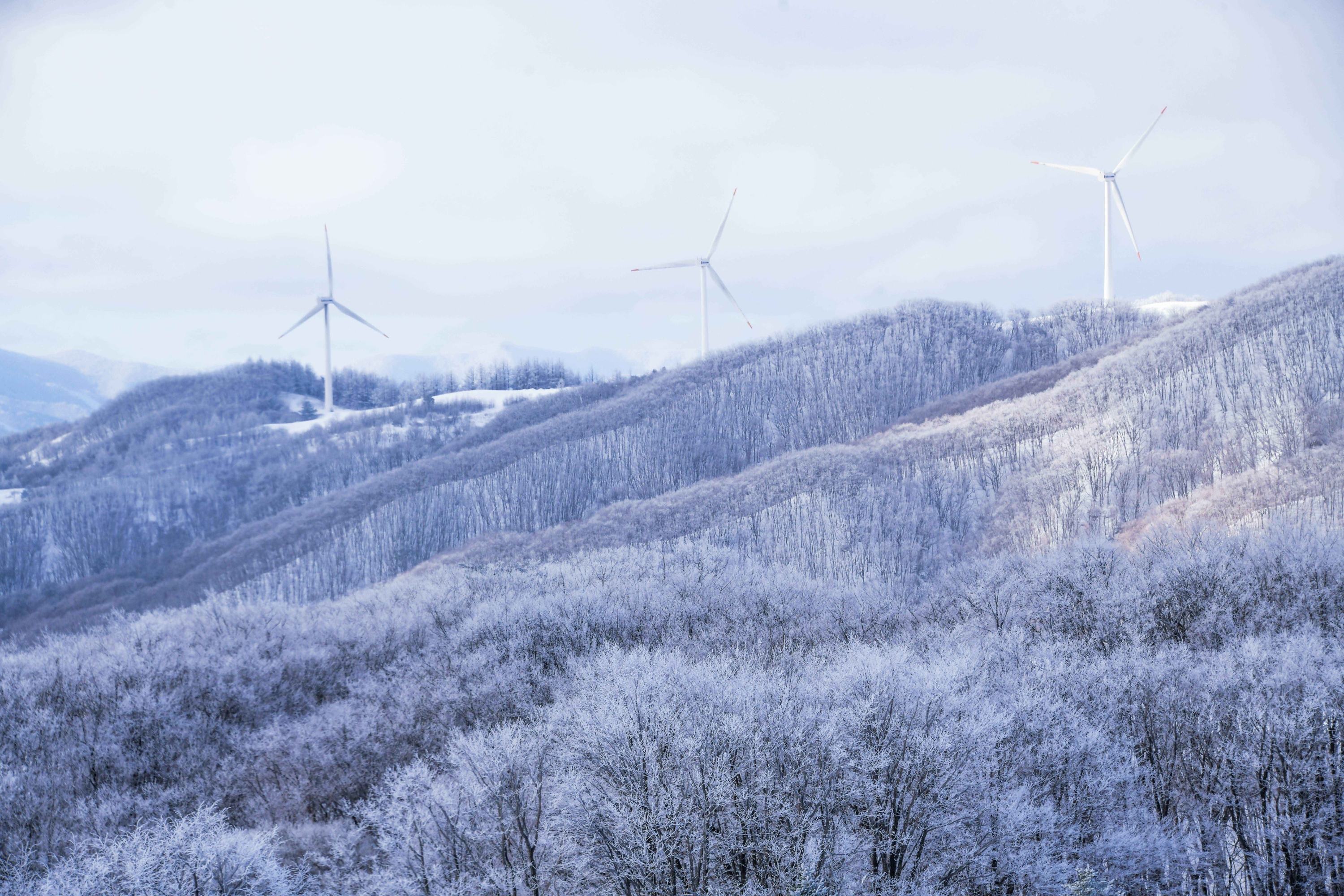 🤍 白雪皚皚的冬季山景令人屏息，遠處的風力發電機靜靜地轉動著。