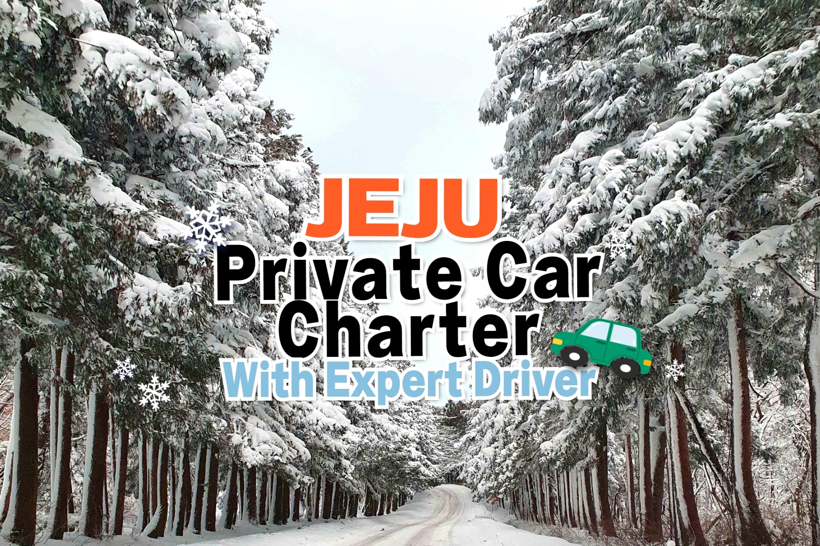 濟州島（Jeju Island）專業司機包車遊（10 小時）