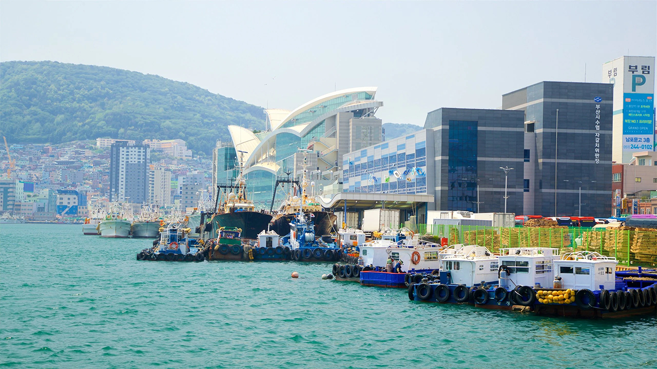 將海洋、漁船和城市建築融為一體的經典釜山景緻。