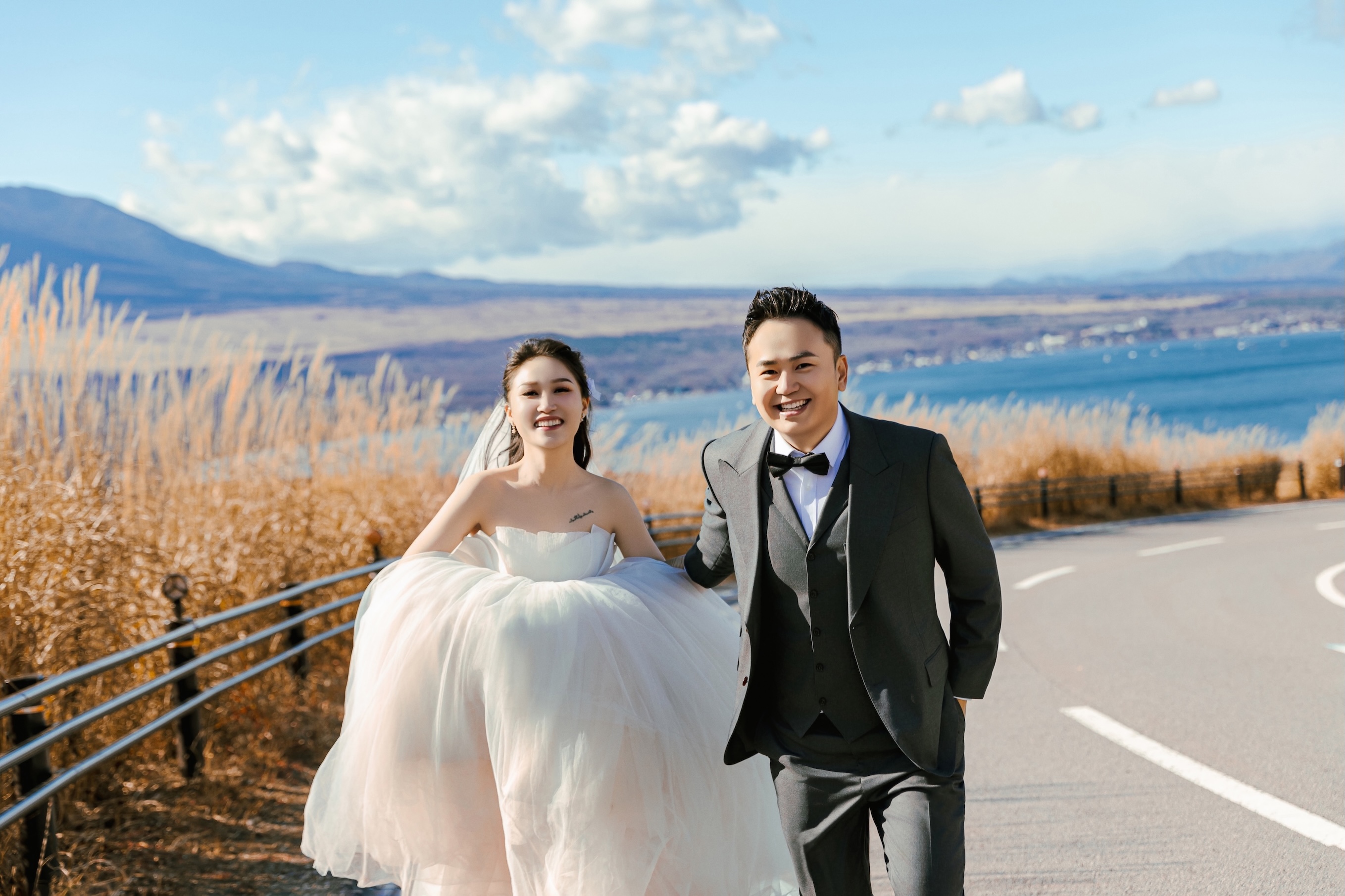 蘆葦草和富士山的完美融合，在山的最高處富士山周邊的美景盡收眼底