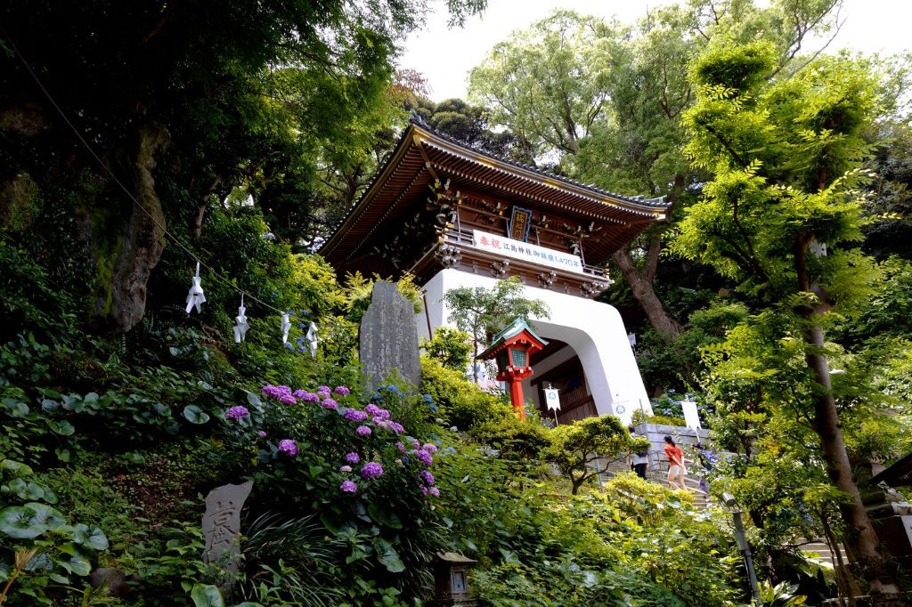 鶴岡八幡宮＆高德院＆江之島＆真名瀨海岸一日遊（東京出發）