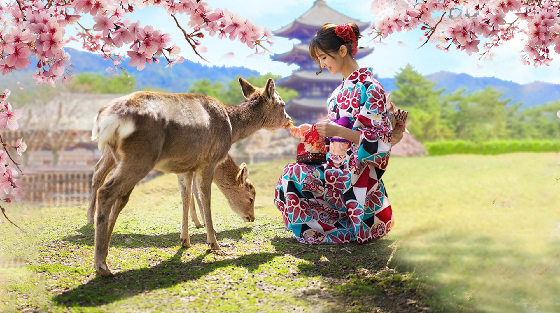 京都嵐山美景文化探秘及奈良萌鹿趣味體驗一日遊