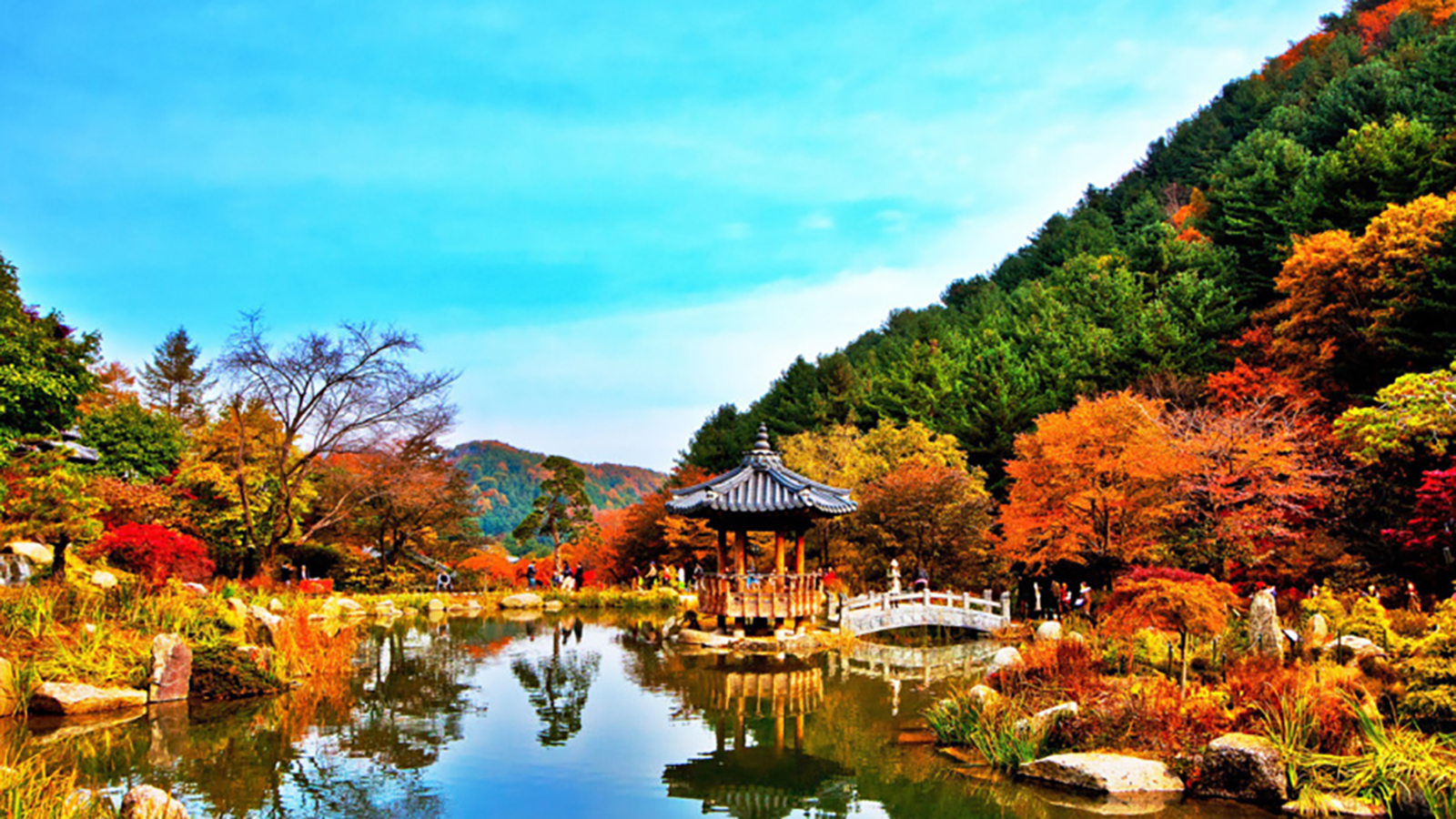 南怡島 / 羊駝樂園 / 春川 （部分景點） 10小時私人遊