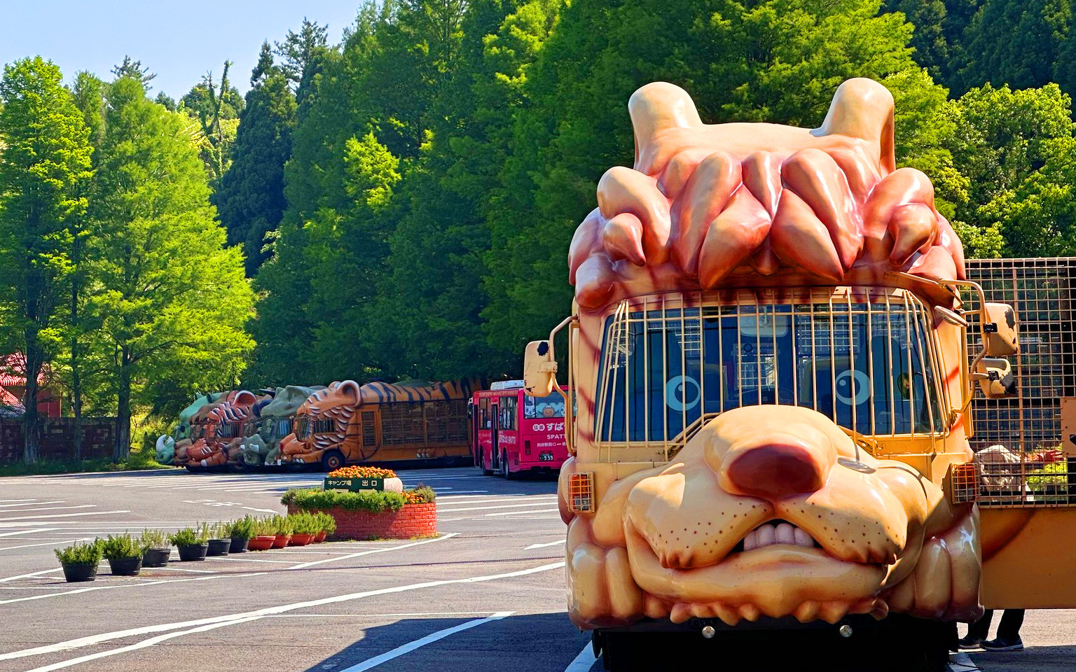 [Kyushu Oita Day Trip] Natural Zoo & Mt. Yufu & Yufuin & Beppu Sea Hell