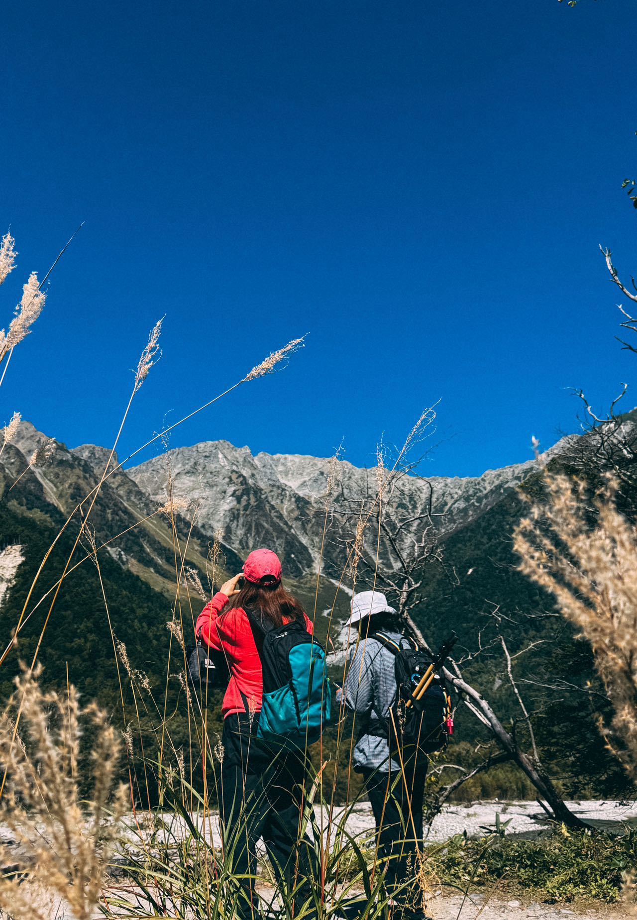 立山黑部阿爾卑斯山脈路線上高地2天1夜夏季之旅（名古屋出發）