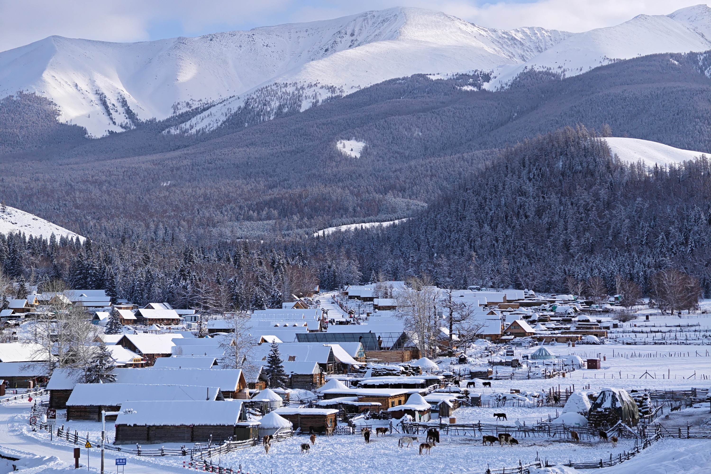 Зимняя соната | 9-дневный тур по Алтаю и Северному Синьцзяну