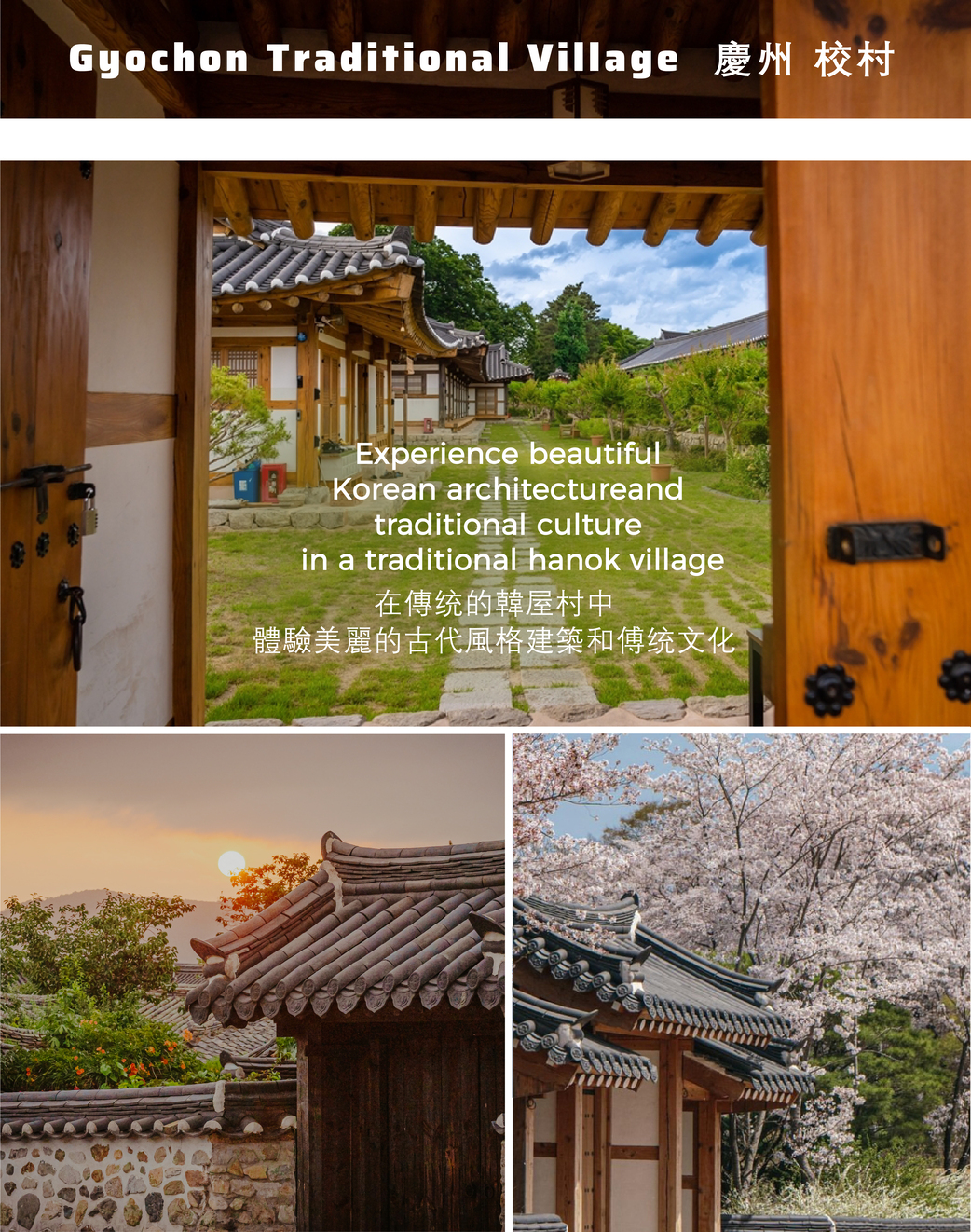 釜山 & 慶州一日遊（釜山出發）