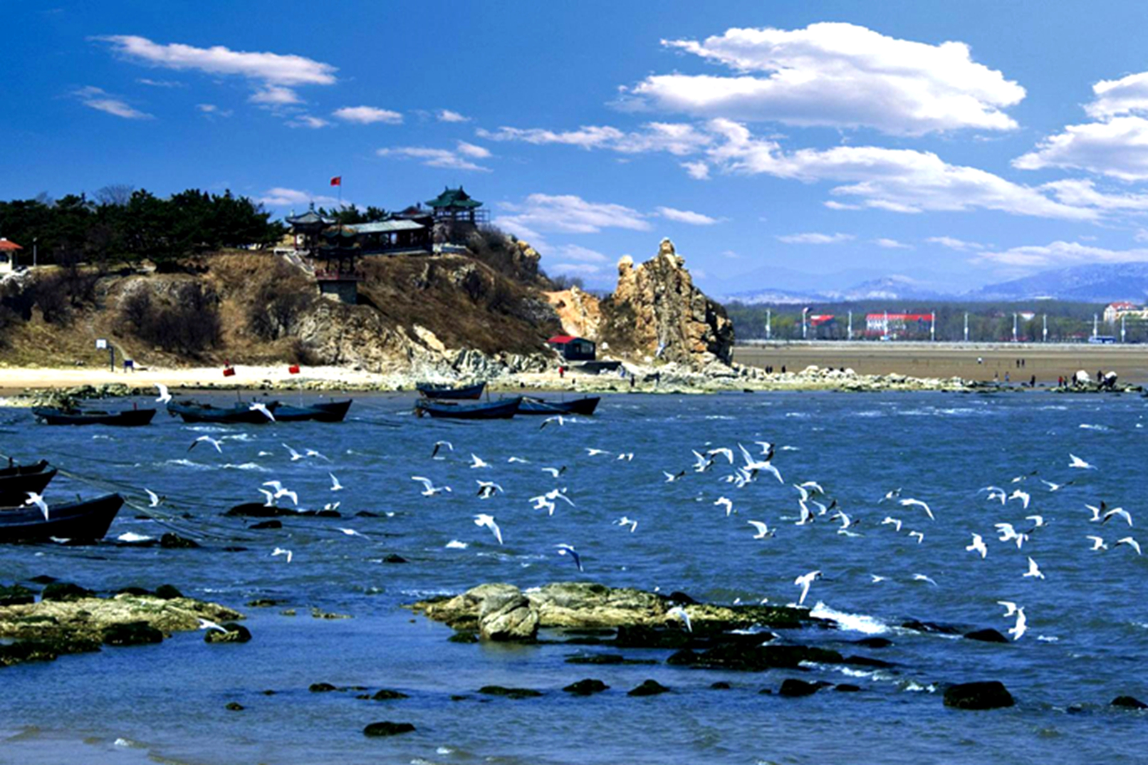 乌兰布统草原经典5日游（北戴河-鸽子窝-帆船出海-避暑山庄-乌兰布统草原-塞罕坝）