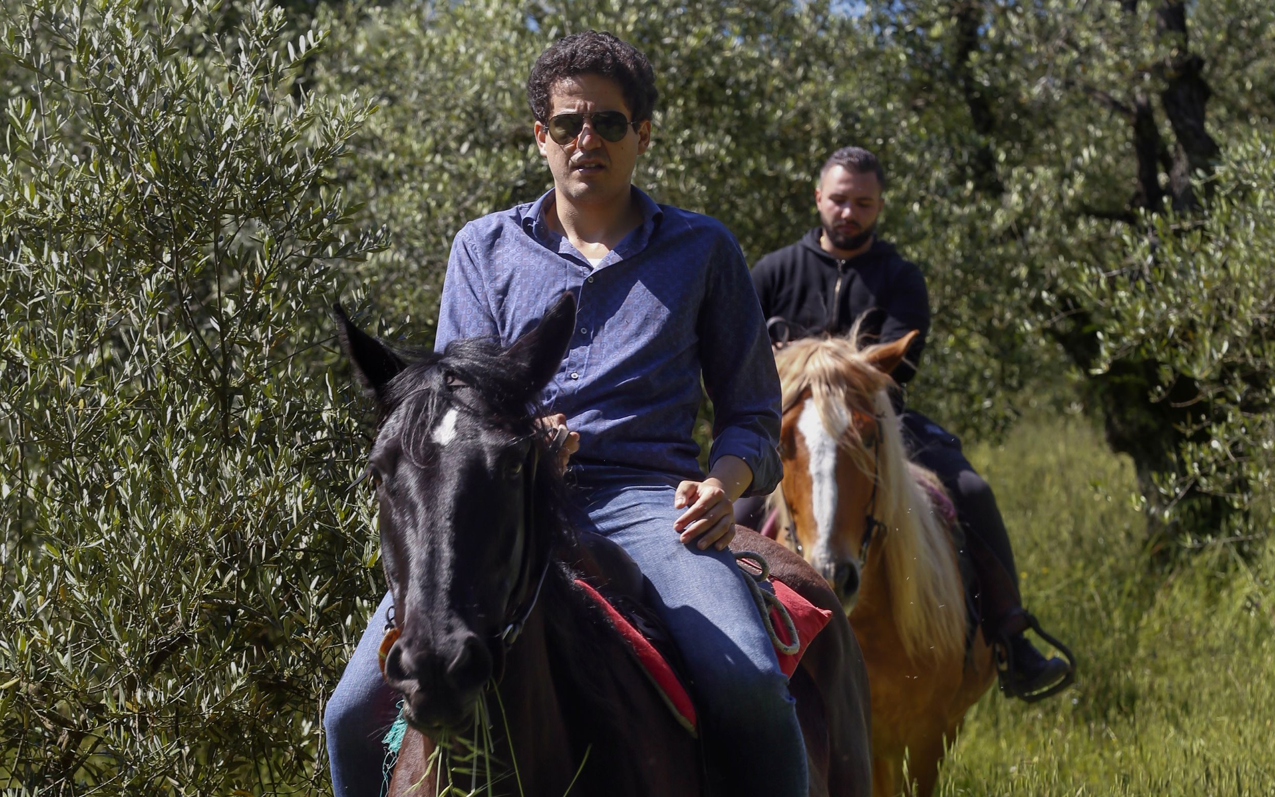 Tuscany horseback riding experience with seasonal meal from Florence