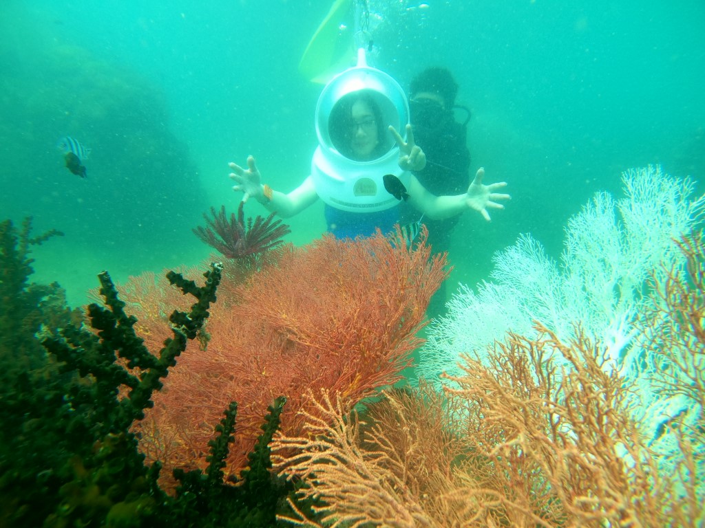 富國島南部海底漫步體驗（Roi 島）