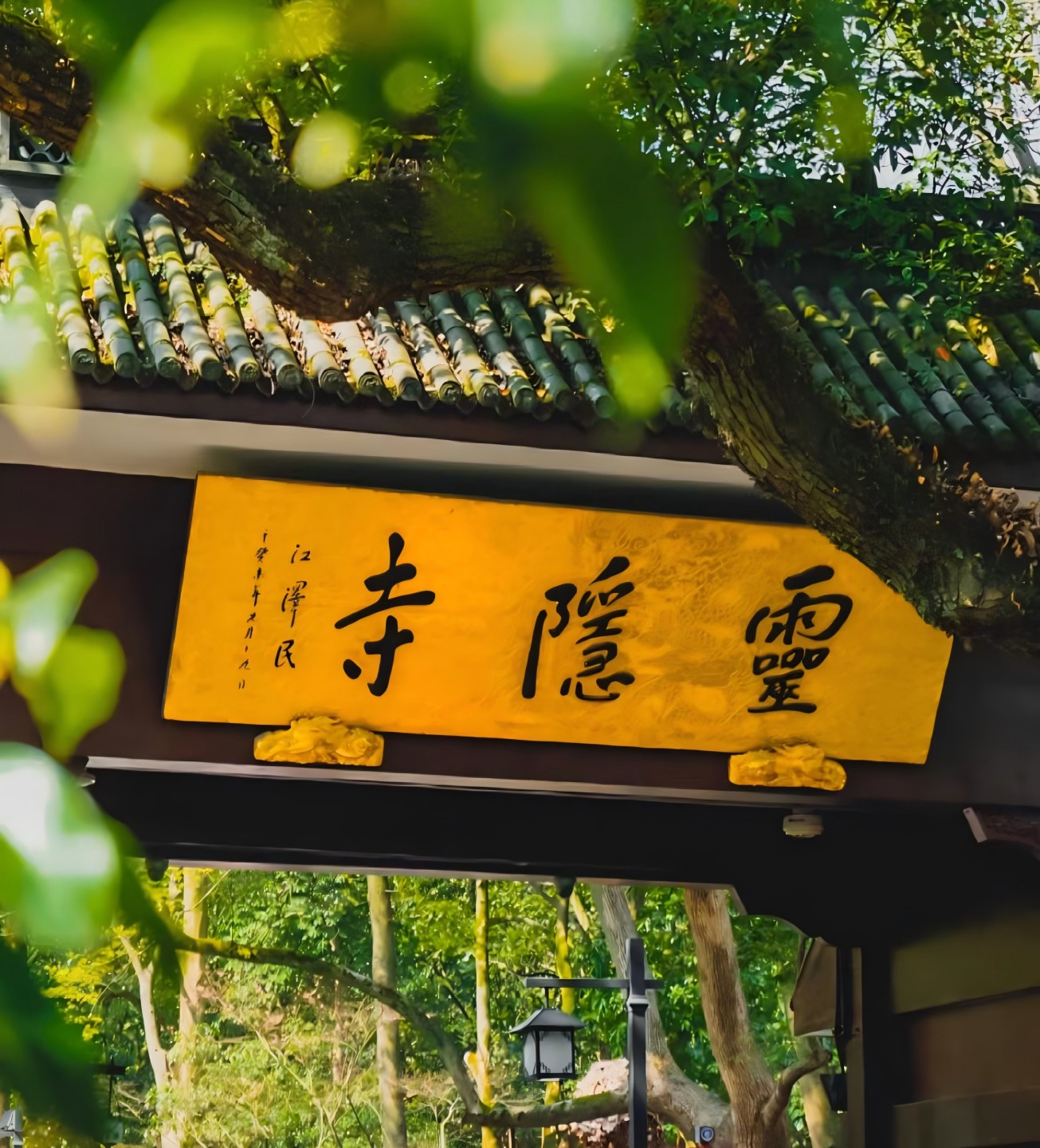 上海江南錦書華東6日遊（上海東方明珠塔+蘇州拙政園+烏鎮西柵+杭州西湖龍井村靈隱寺暢+私人導遊專講+大IP獨家設計民俗活動）
