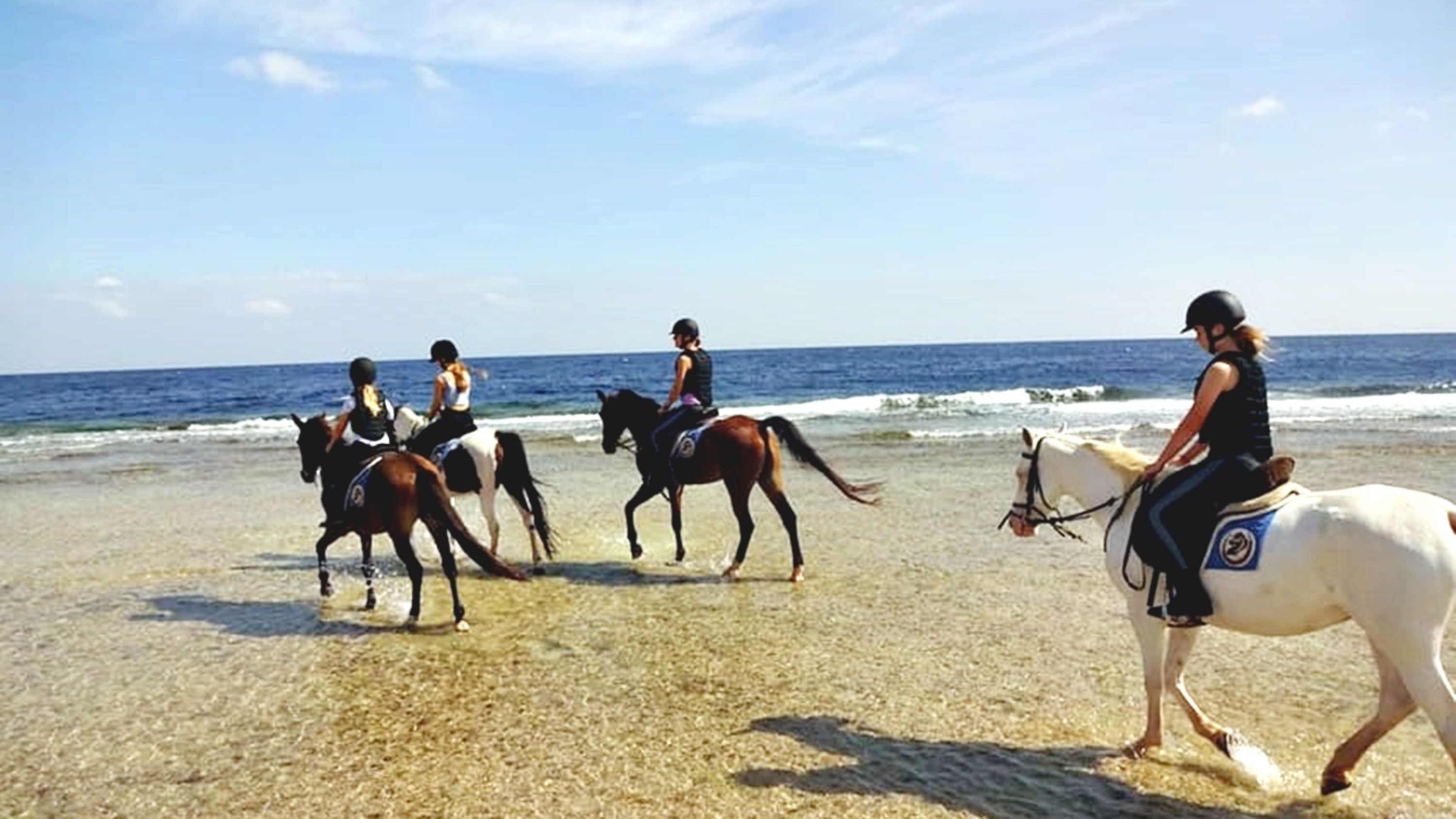 在騎行過程中,捕捉令人歎為觀止的沙漠景觀和波光粼粼的海岸線照片 在騎行過程中,捕捉令人歎為觀止的沙漠景觀和波光粼粼的海岸線照片