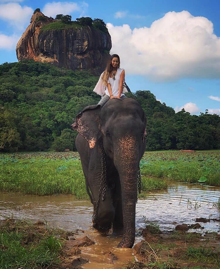 可倫坡、卡盧特勒或本托塔出發：獅子岩及丹布勒一日遊