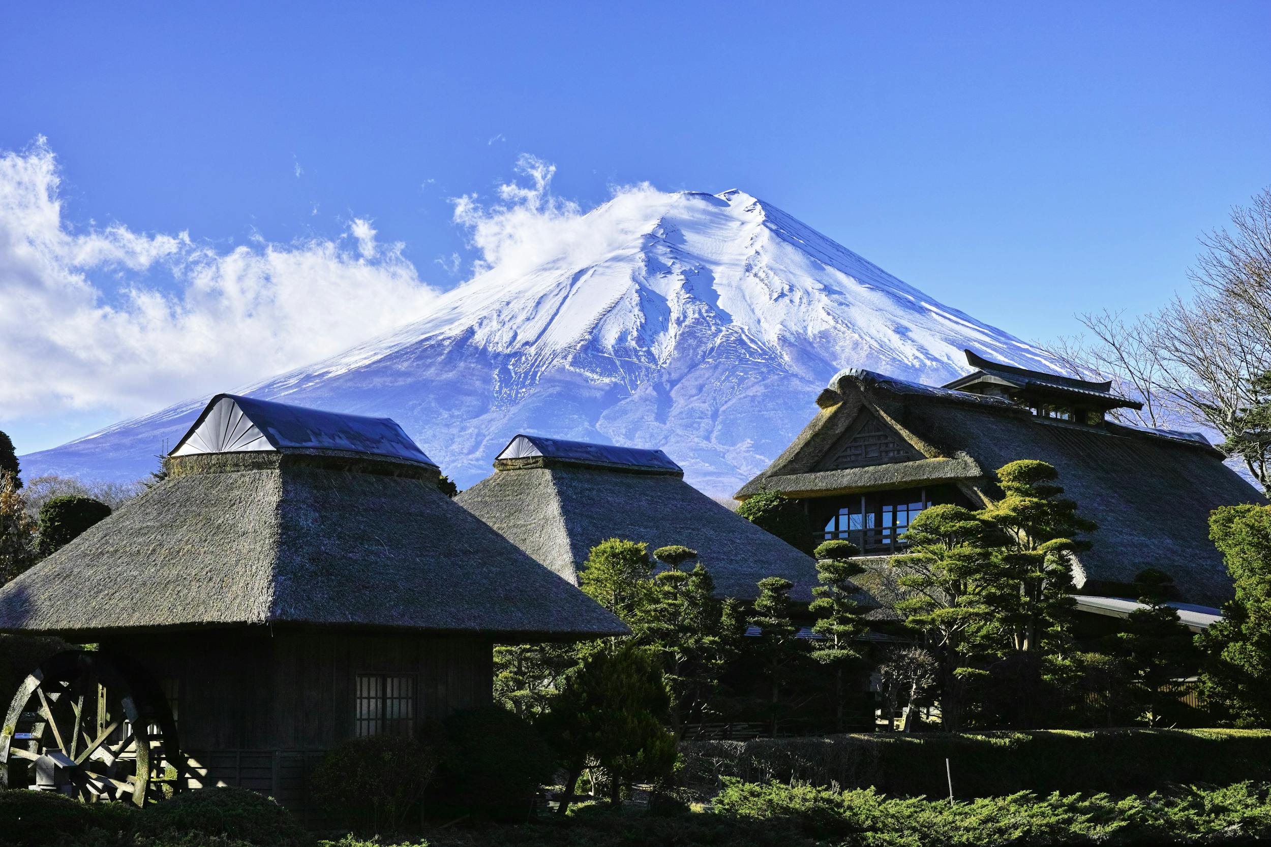 富士山 (Mount Fuji) 客製化行程，含接送服務
