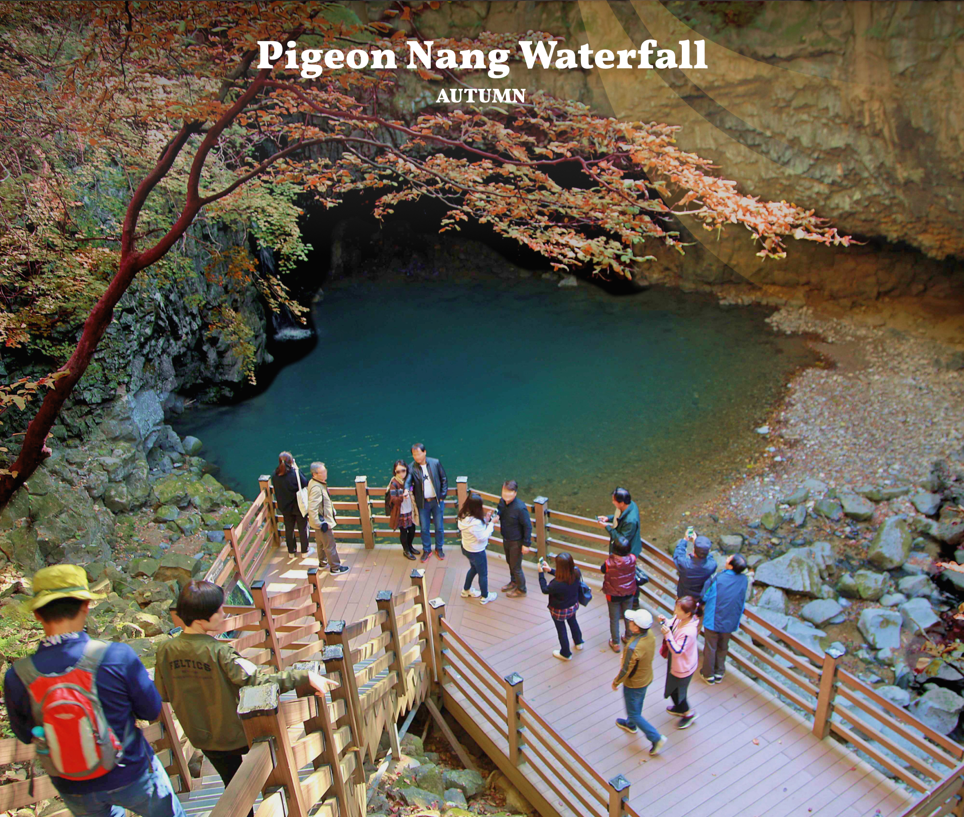 鴿子楠瀑布變成了一幅色彩斑斕的畫布，上面點綴著鮮豔的紅色和黃色樹葉。🍂 清澈的瀑布在秋日的陽光下閃閃發光，讓每一張照片都顯得格外神奇。📸