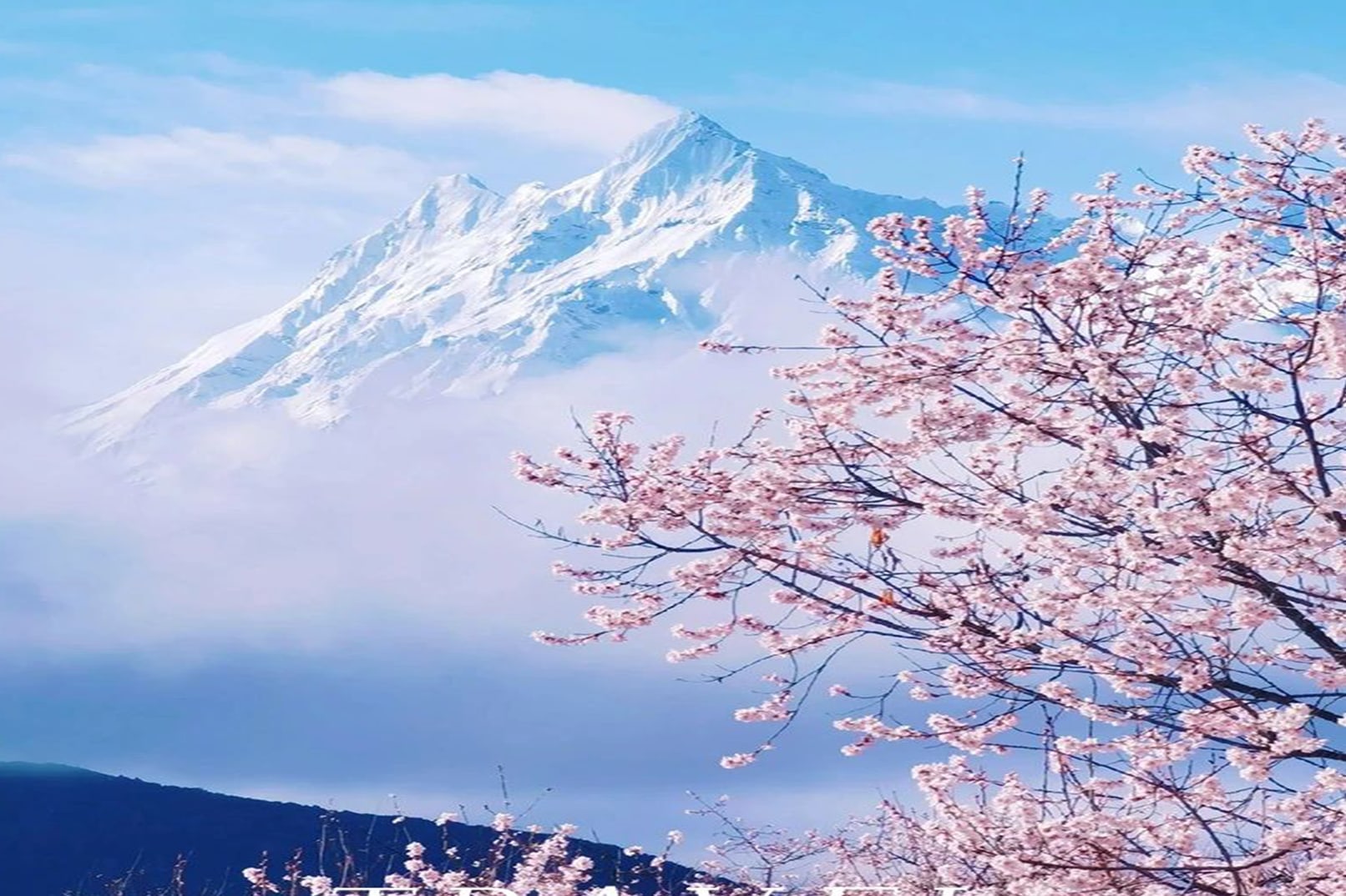 西藏林芝桃花6日（天后同款瑞吉/松贊系列+南迦巴瓦日照金山&平措康桑雪裡酒店+嘎拉桃花村+索松村+卡若拉冰川+私導講解布達拉宮大昭寺）