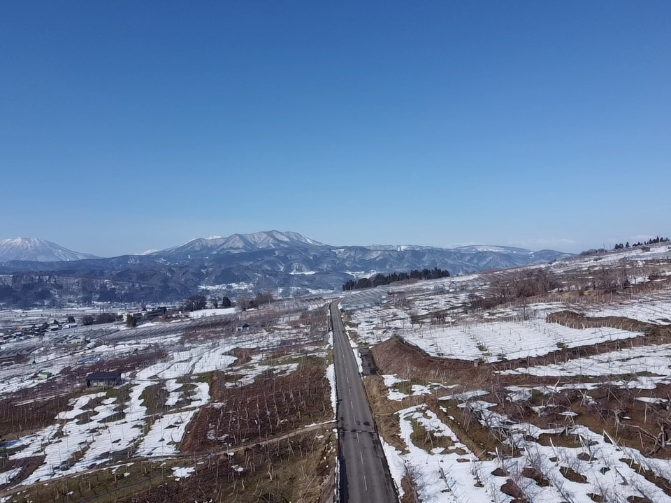 通往猴子公園的道路蜿蜒穿過山坡果園，沿途盡享令人驚嘆的景色。