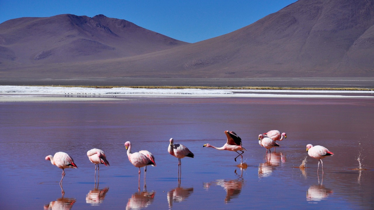 Uyuni Salt Flat 3-Day Private Guided Tour