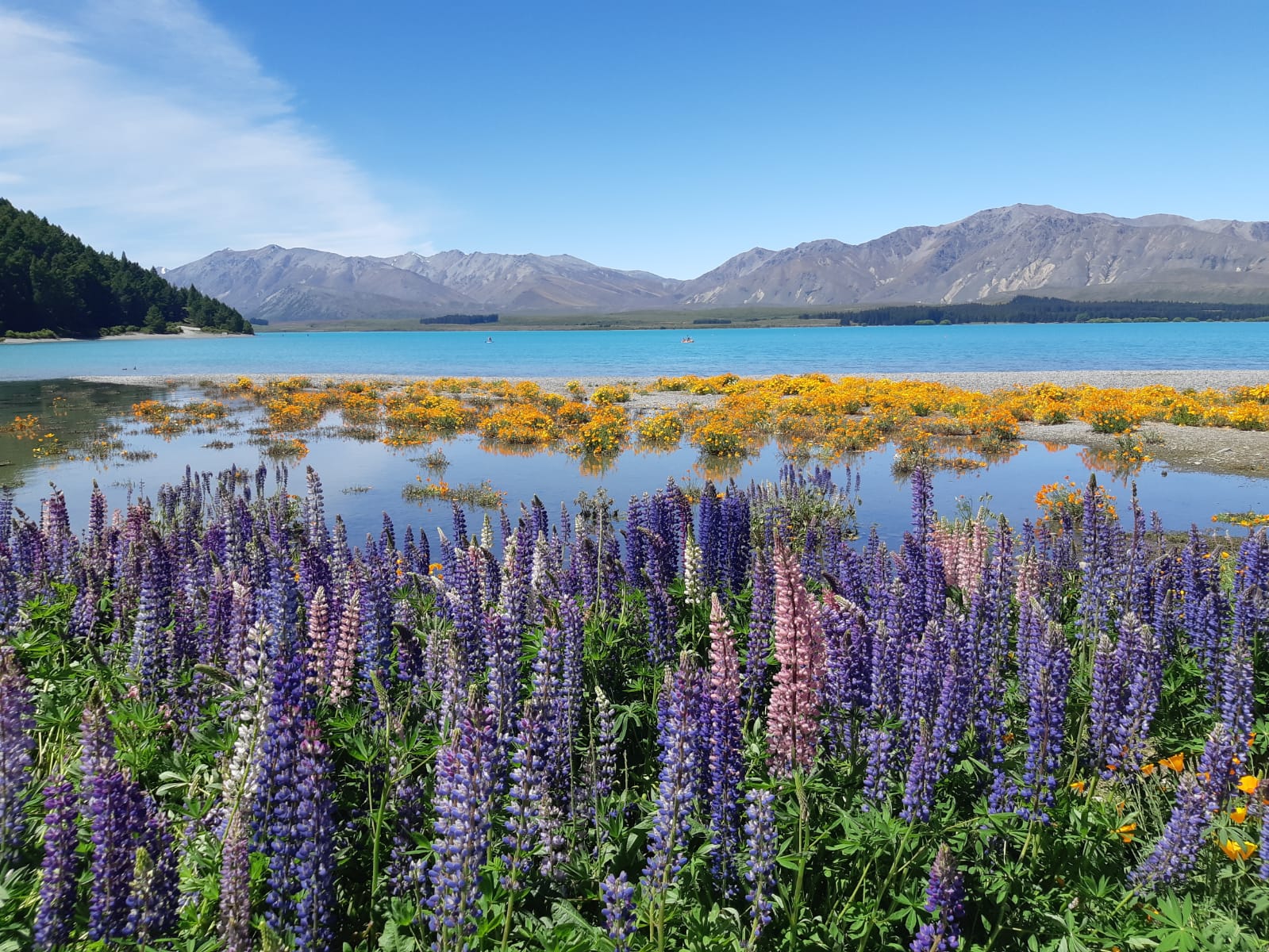 Mt Cook to Tekapo One Way Small Group Tour