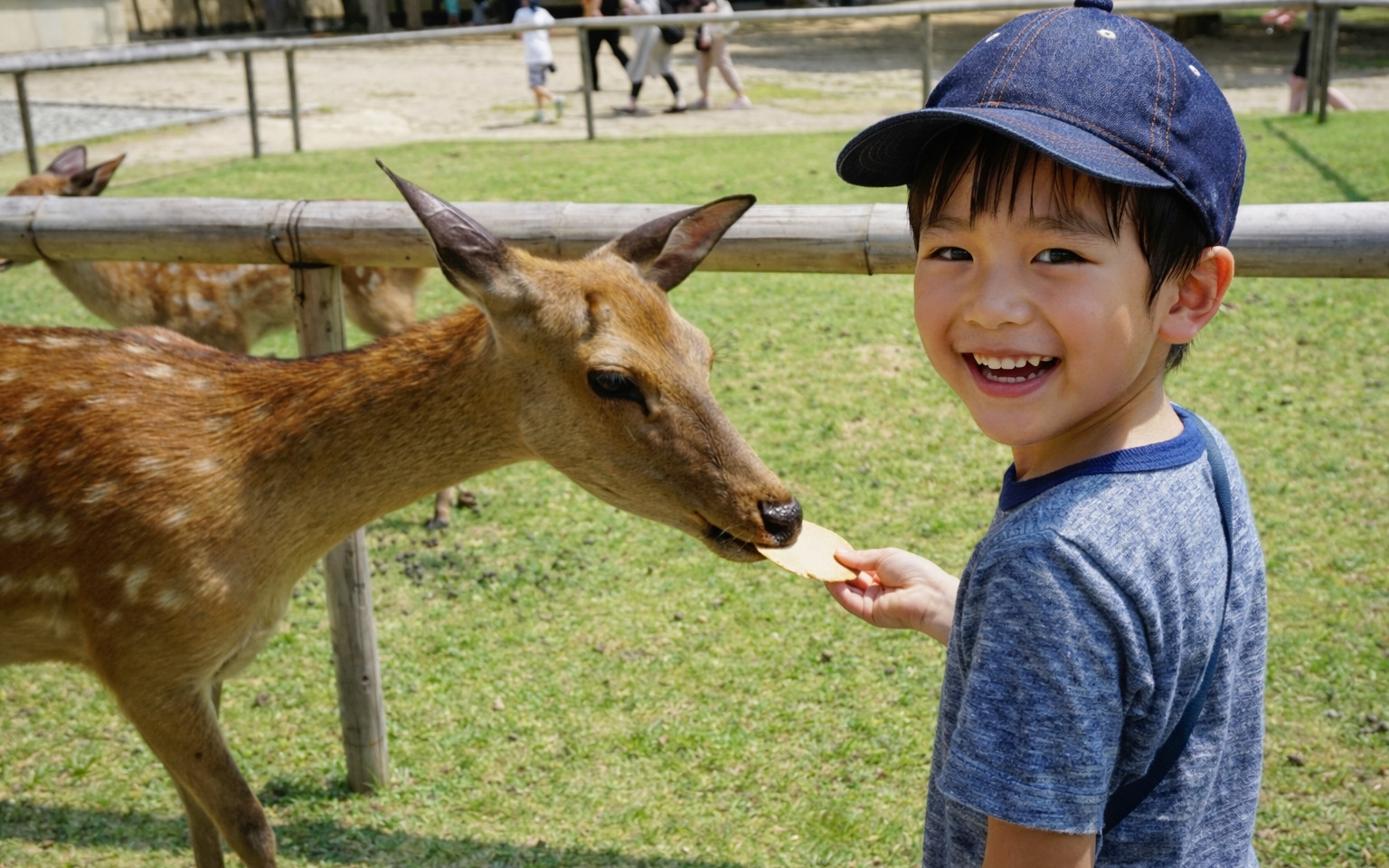Kyoto & Nara: One-day tour of Arashiyama & Fushimi Inari Shrine & Nara Park