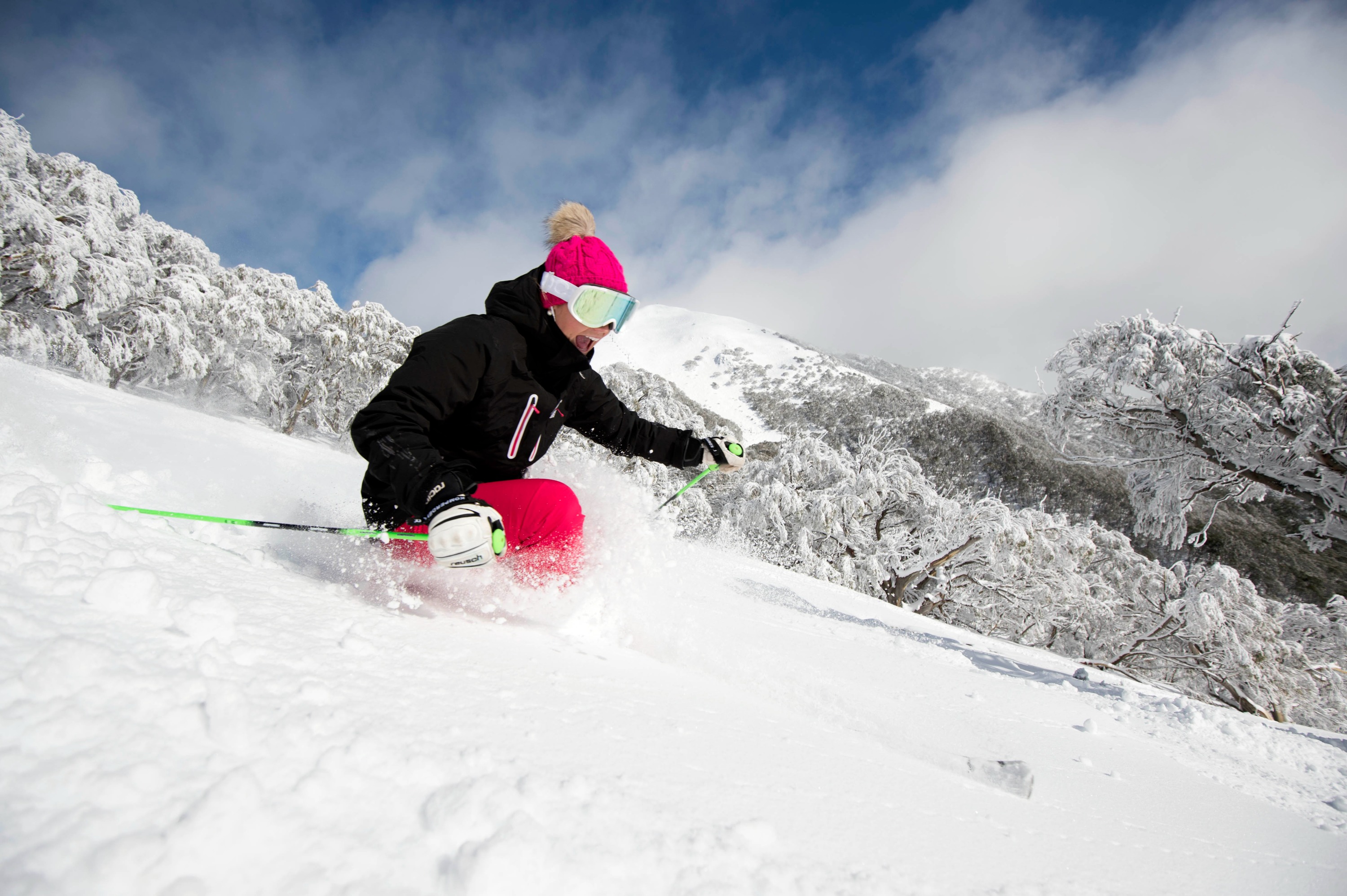 布勒山雪地活動一日遊