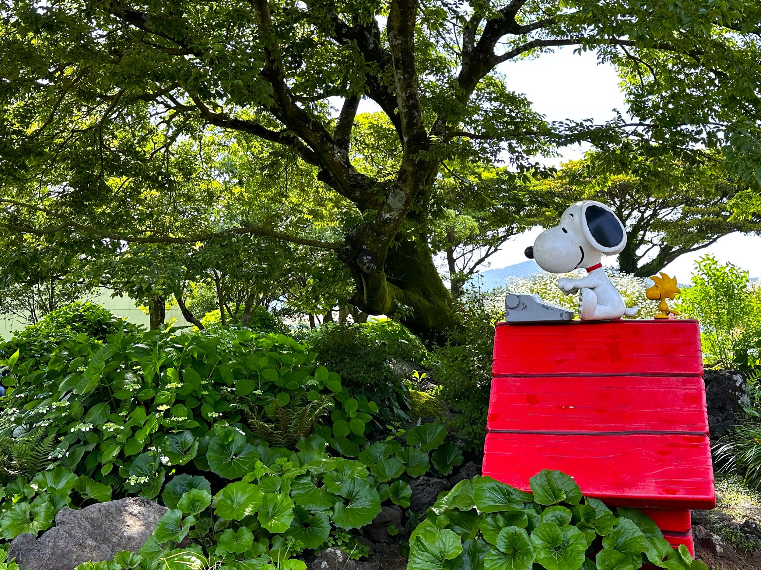 走進史努比花園，沉浸在以深受喜愛的《花生漫畫》角色為靈感的奇幻花園世界。