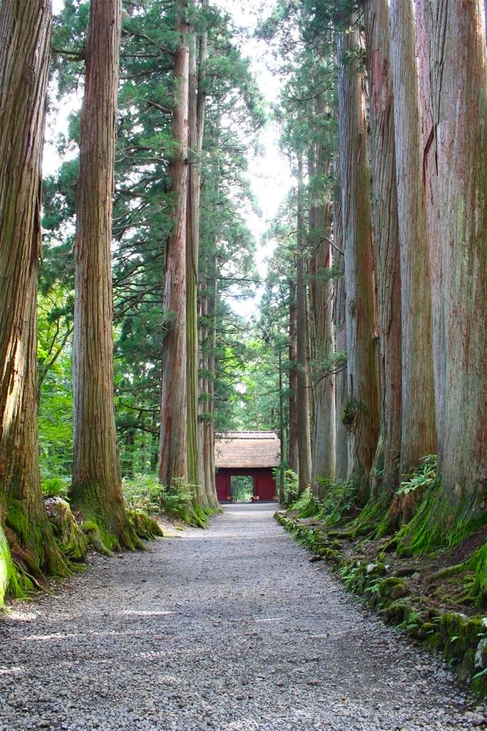 1-Day Togakushi Legends Tour: Hands-on Soba Noodles, Ninja Village, 