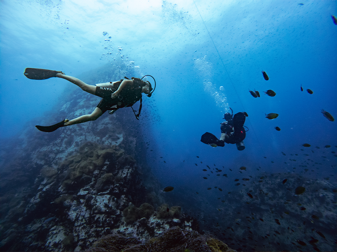 Morning Dive Trip in Koh Tao with PADI 5 Star Dive Center