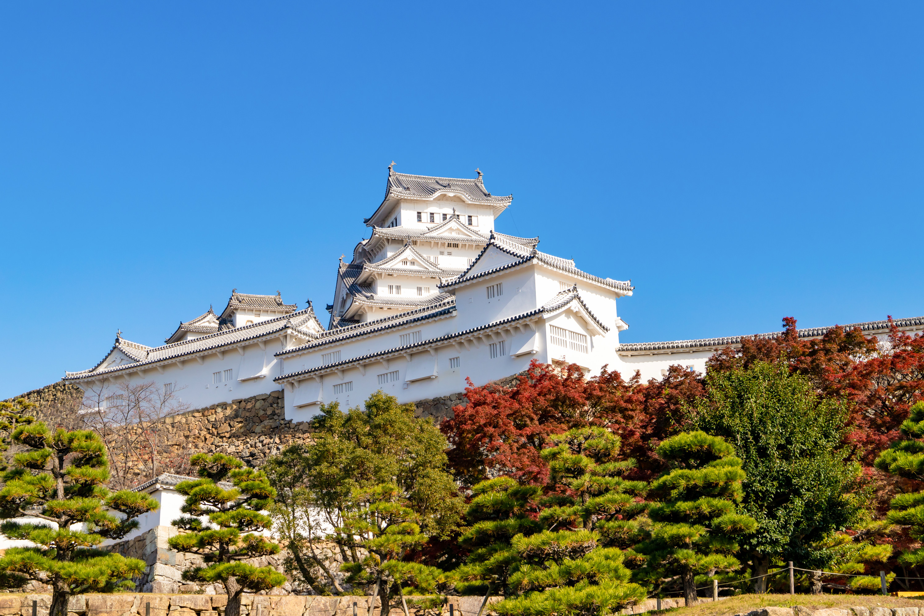 [Korean Tour & Review Event] [Only Large Buses] Hyogo Prefecture