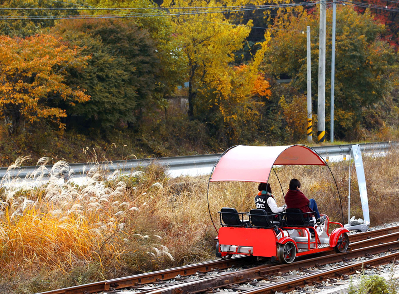 秋意正濃,世界染上溫暖的黃紅色調。 秋意正濃,世界染上溫暖的黃紅色調。