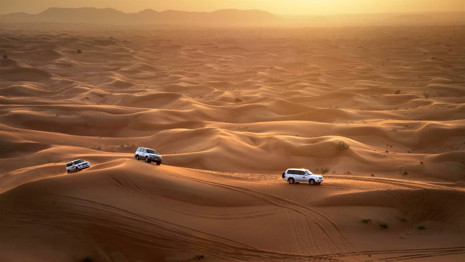 Dubai Red Dune Desert Safari, Live Shows, Camels, and BBQ Dinner