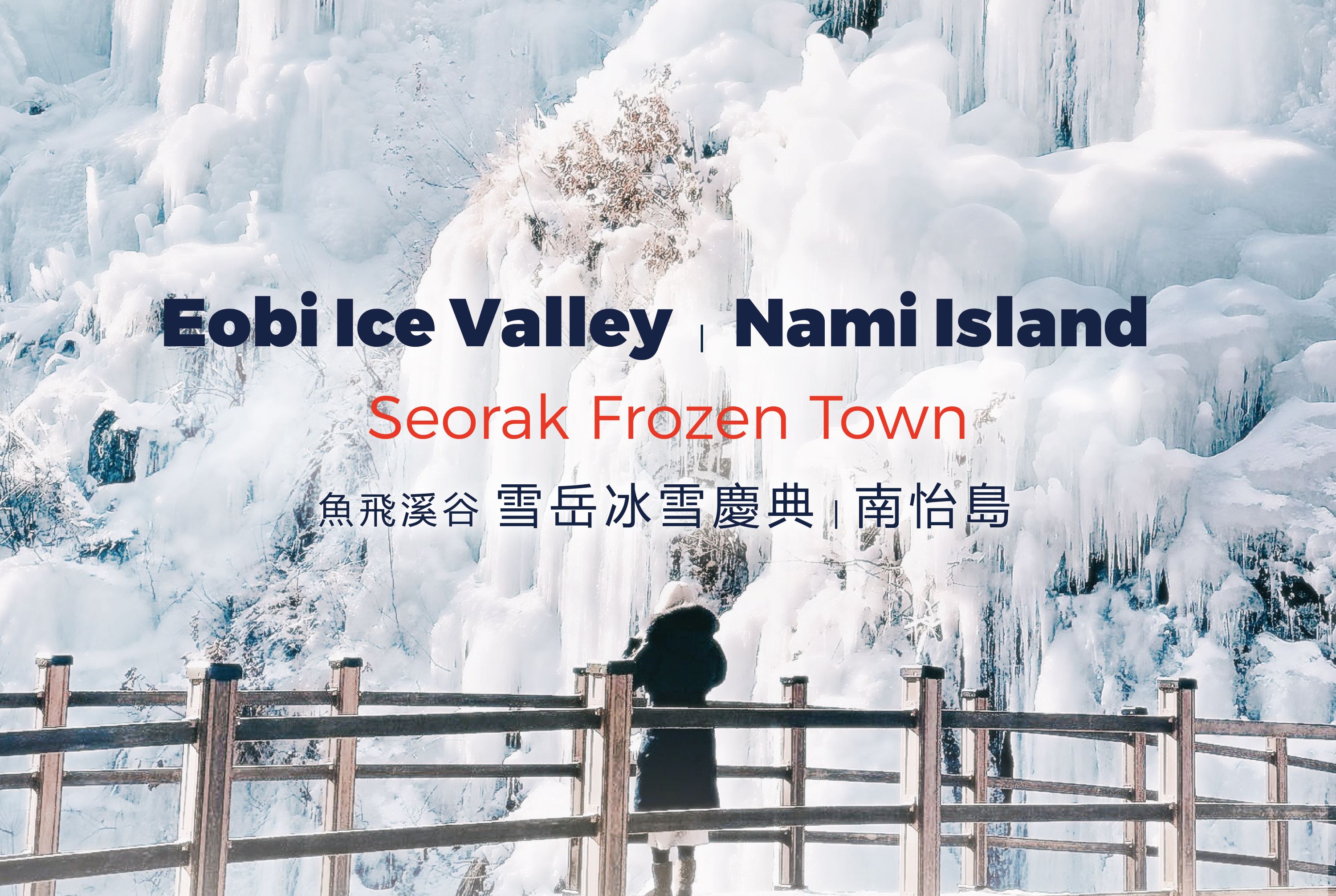Nami Island &amp; Eobi Ice Valley &amp; Morning Calm &amp; Alpaca&amp; Seorak Frozen