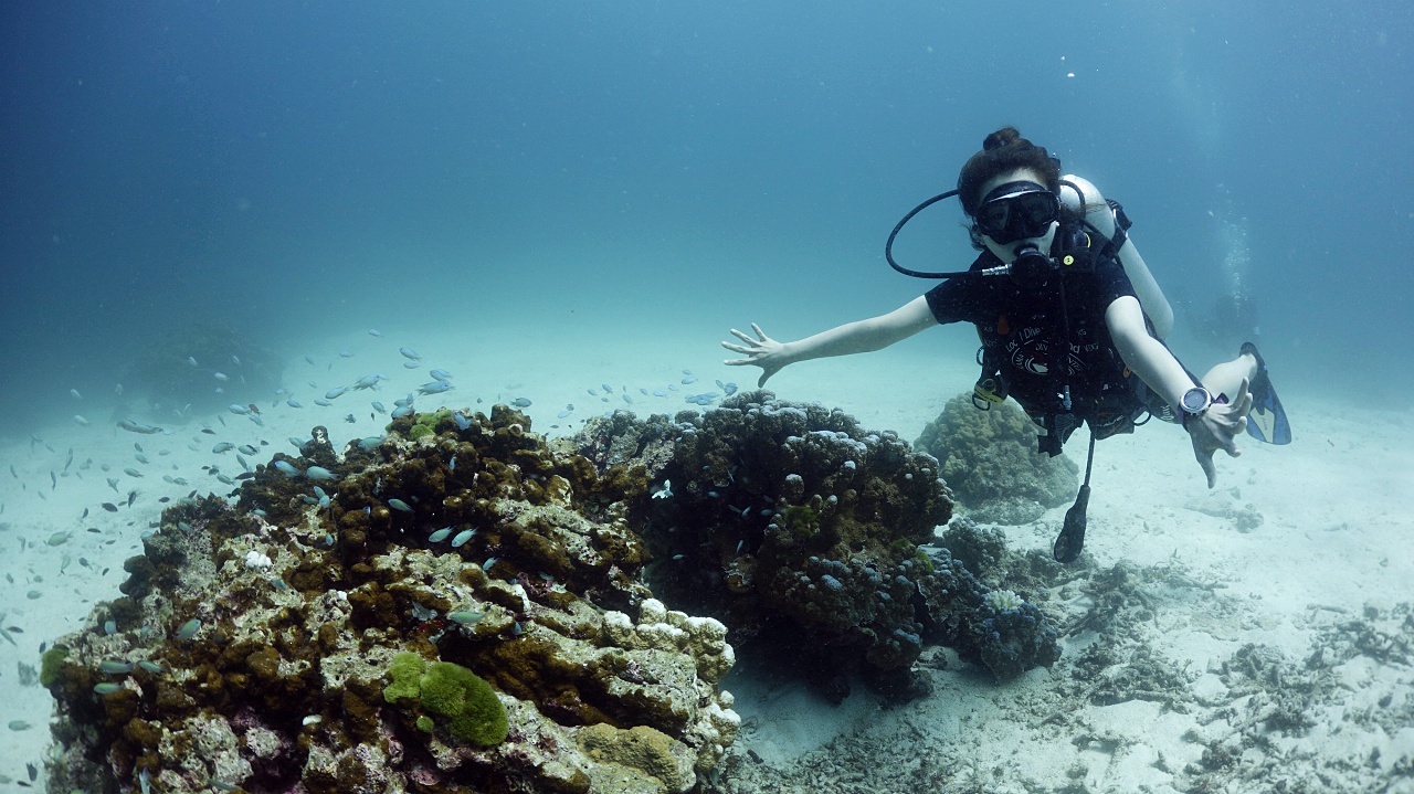 普吉島 PADI 五星潛水中心簡單潛水體驗