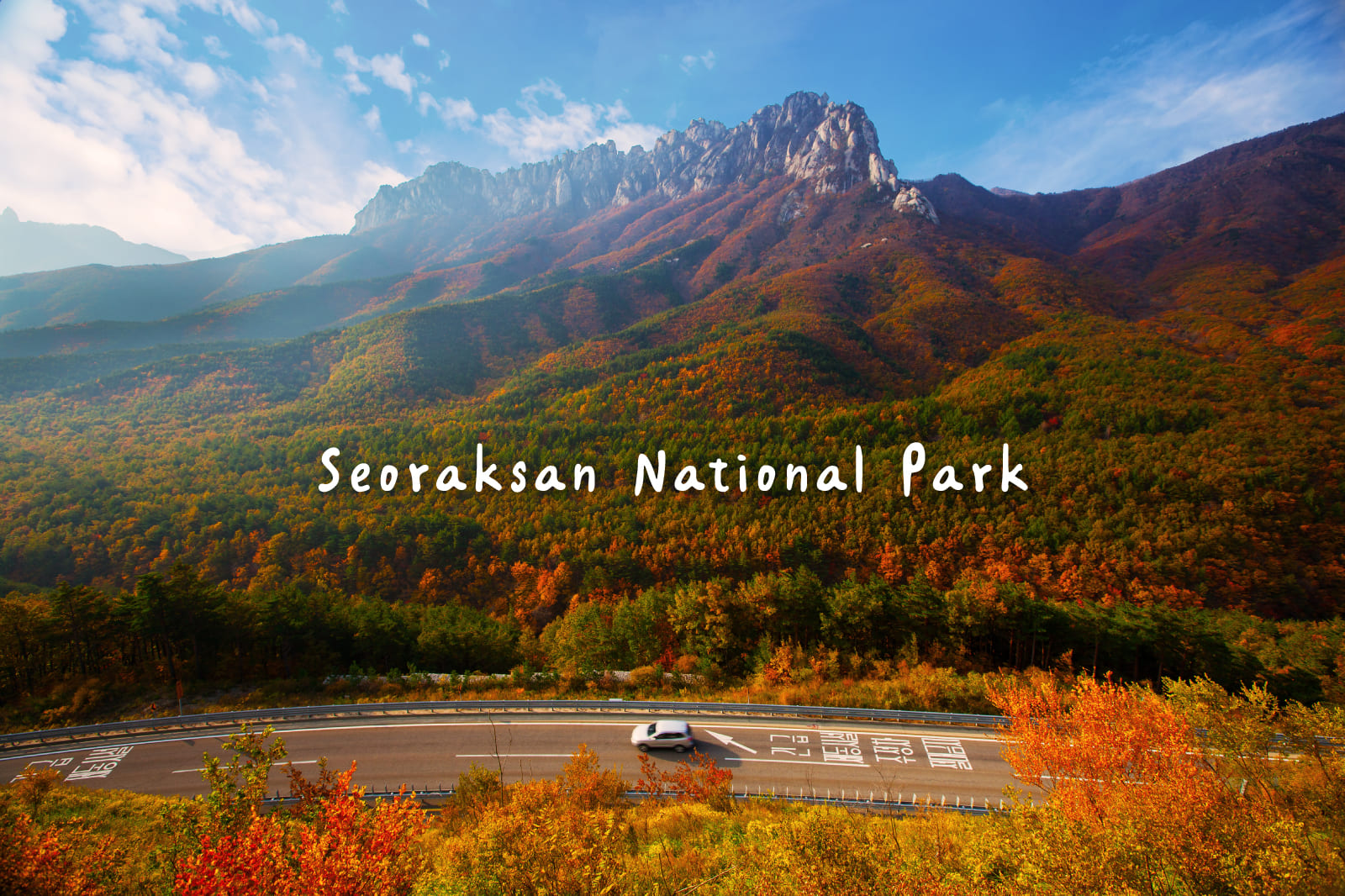 Mt. Seoraksan Cable Car x Sokcho One day Tour (from Seoul) 
