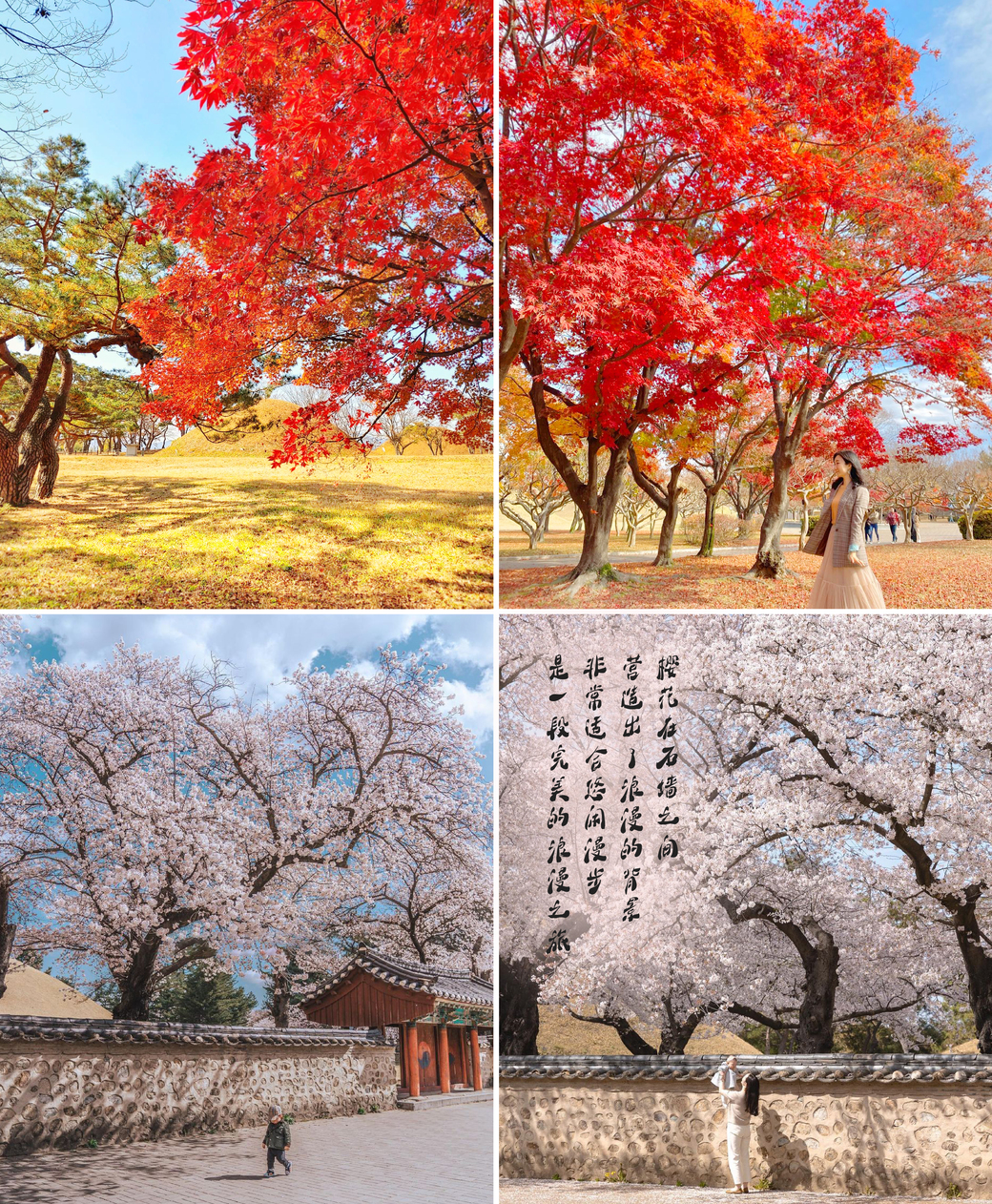 釜山 & 慶州一日遊（釜山出發）
