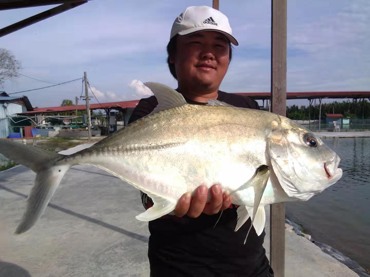 馬來西亞LS Fishing Pond Banting池釣體驗