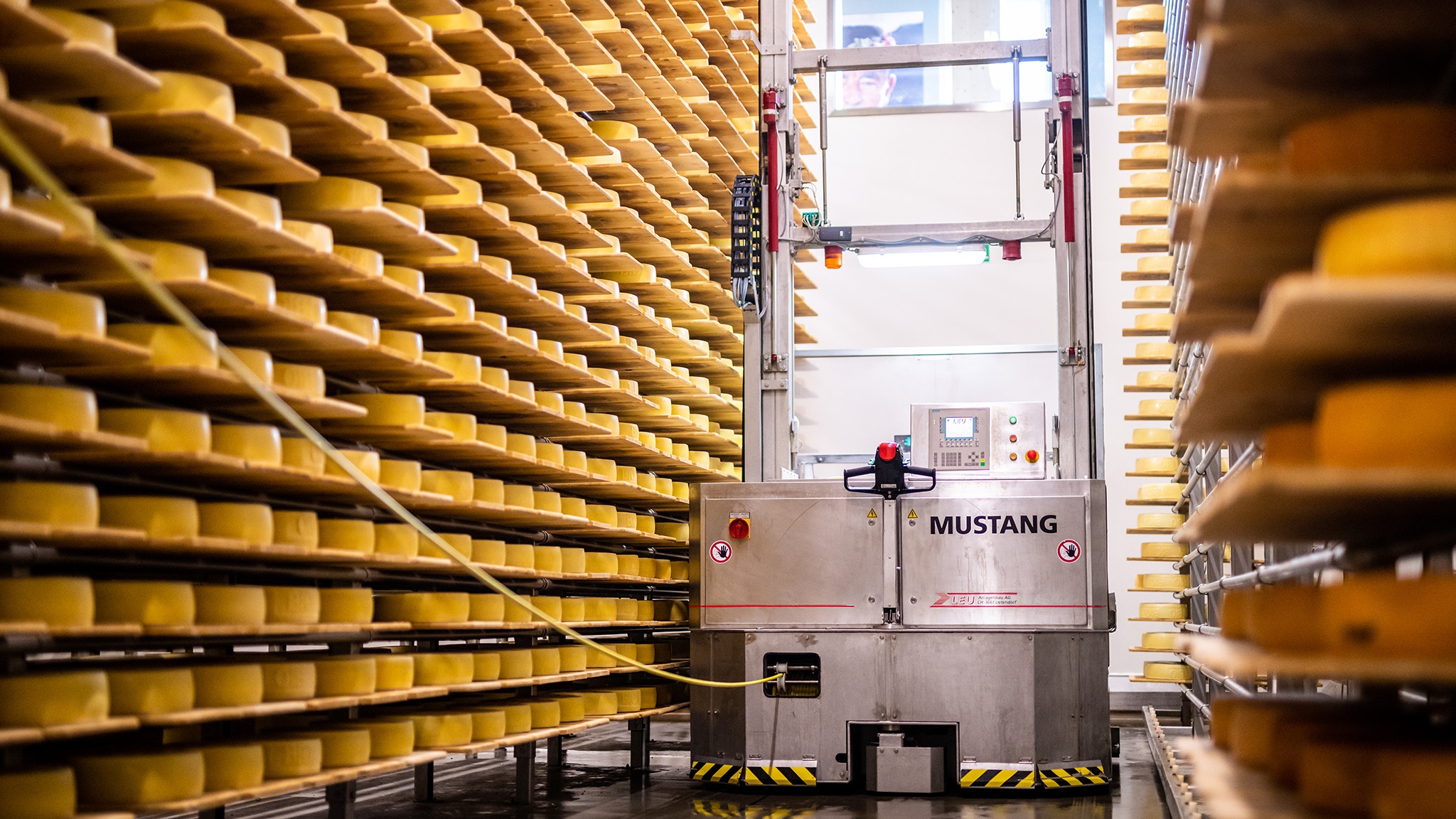 Indulging in creamy Appenzeller cheese at the renowned cheese factory