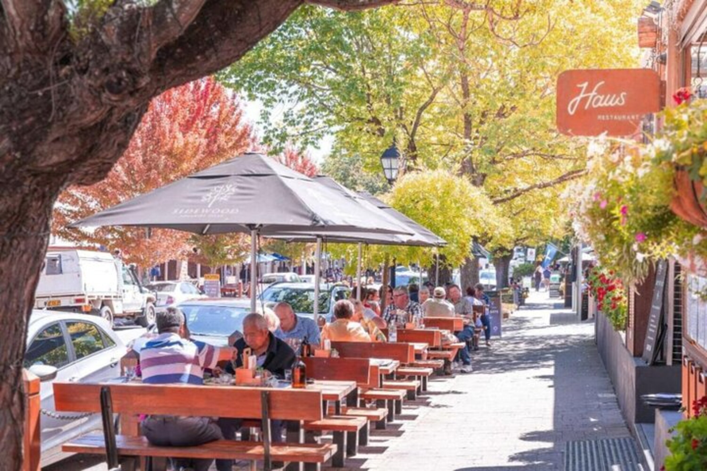 Adelaide City Highlights via Hahndorf Half-Day Tour